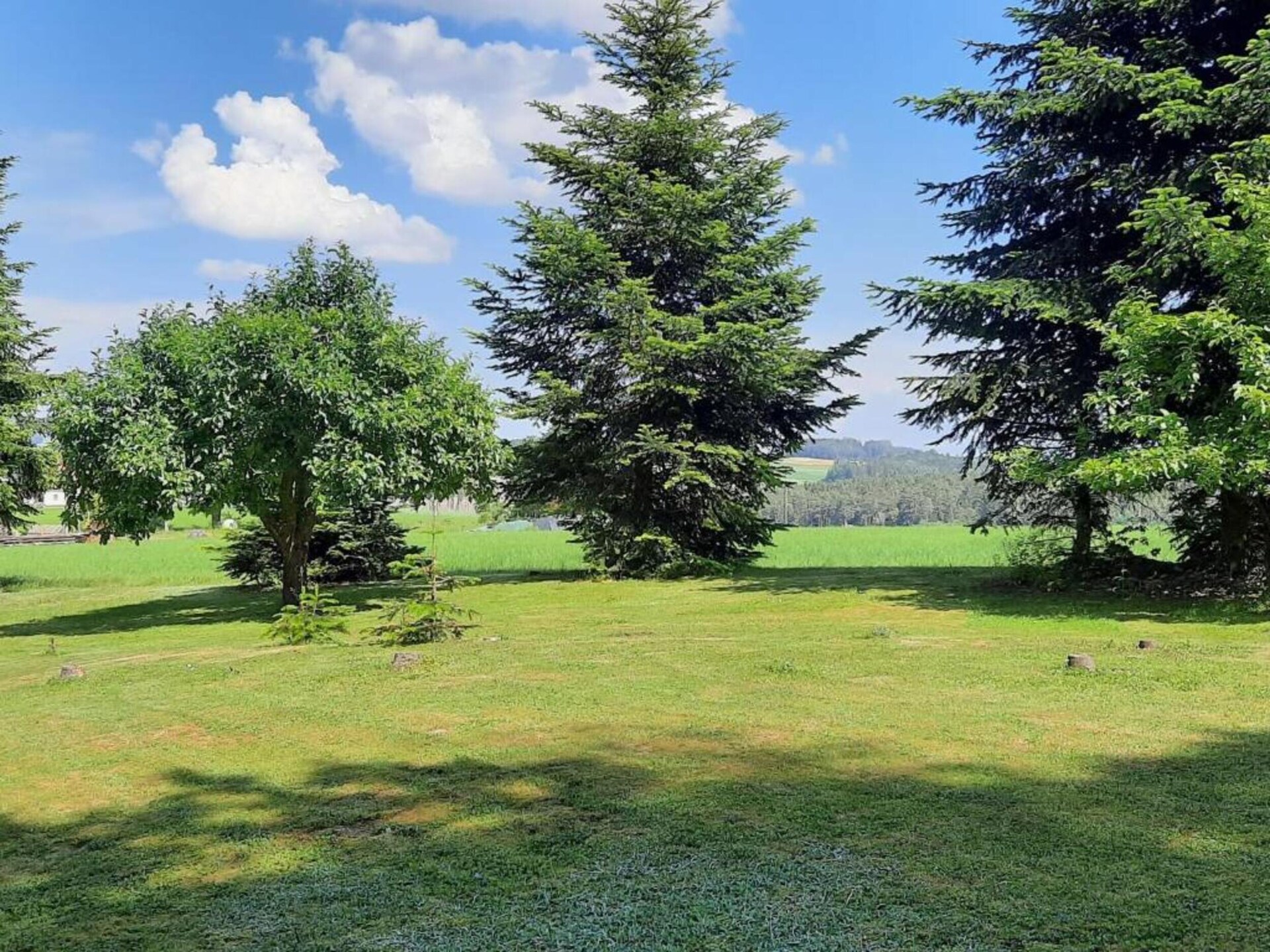 Vakantiehuis Morgensonne in Tännesberg – Uitzicht, rust en wandelplezier - foto 26