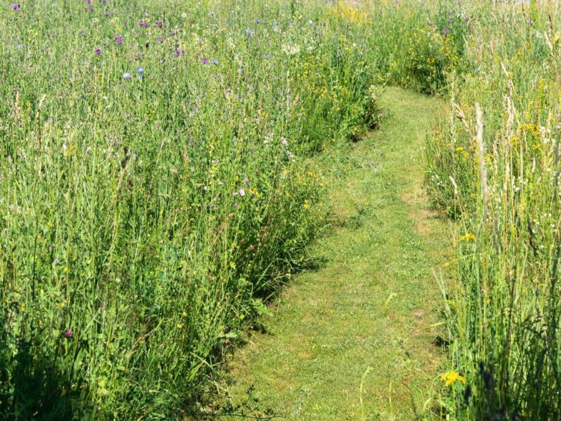 Vakantiehuis Morgensonne in Tännesberg – Uitzicht, rust en wandelplezier - foto 27