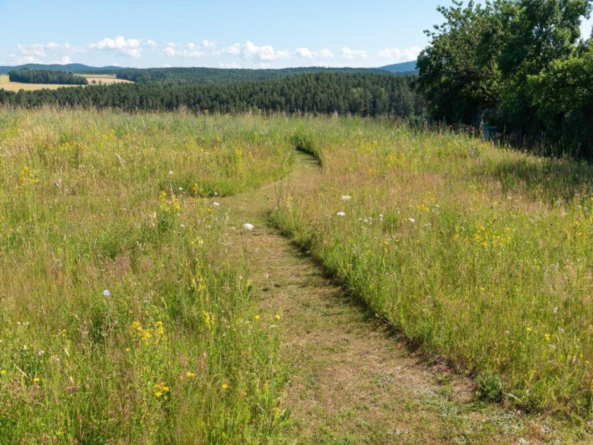 Vakantiehuis Morgensonne in Tännesberg – Uitzicht, rust en wandelplezier - foto 30