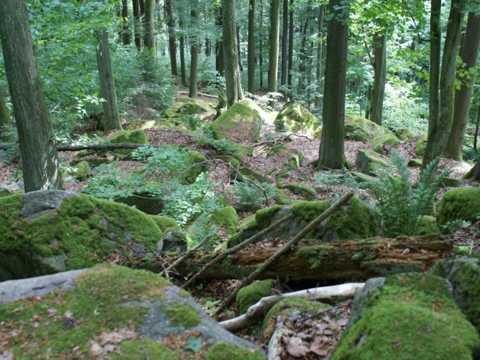 Vakantiehuis Morgensonne in Tännesberg – Uitzicht, rust en wandelplezier - foto 18