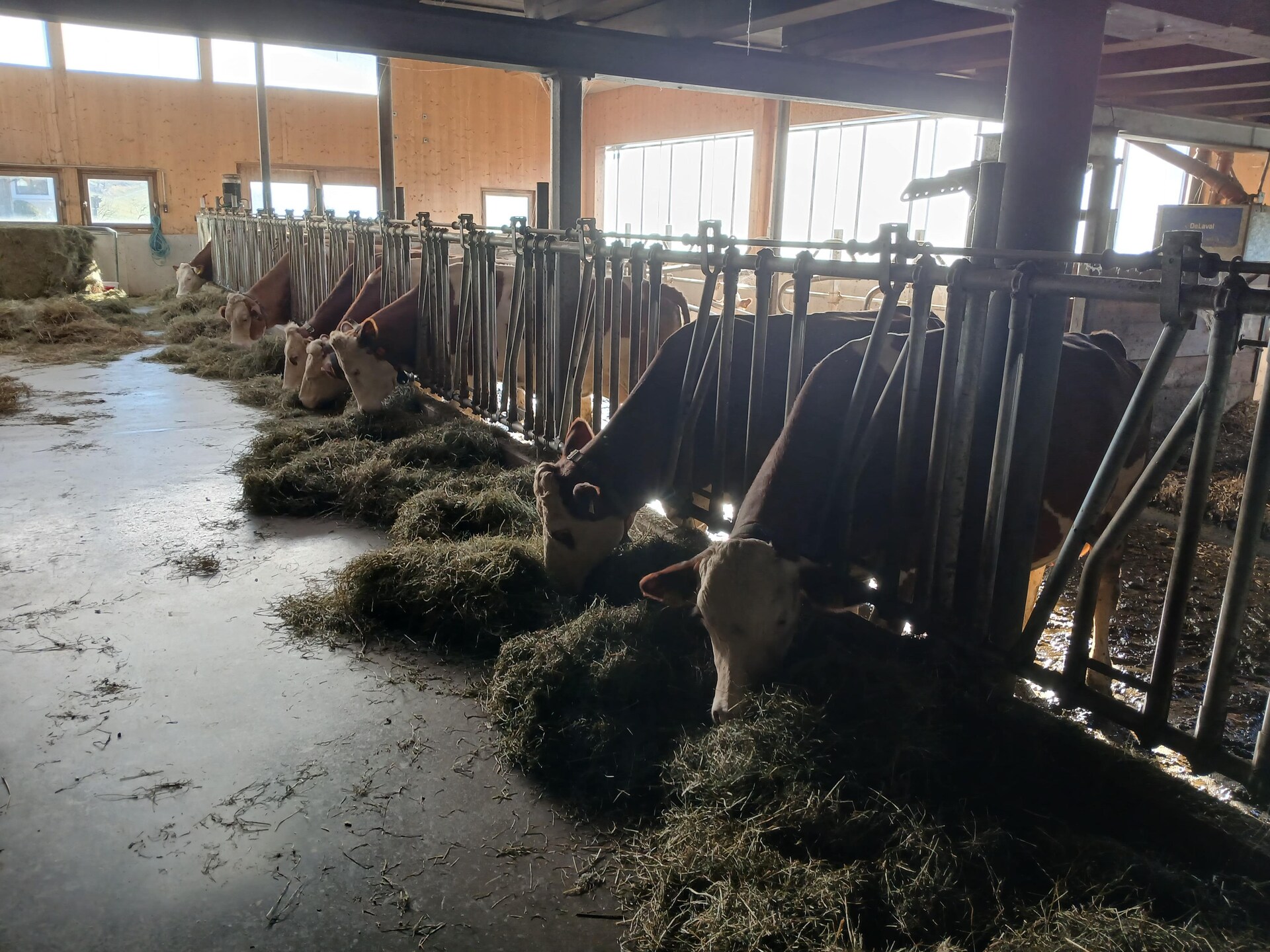 Spielbichl: Gezellig boerderijappartement met sauna en dieren in Salzburgerland - foto 20