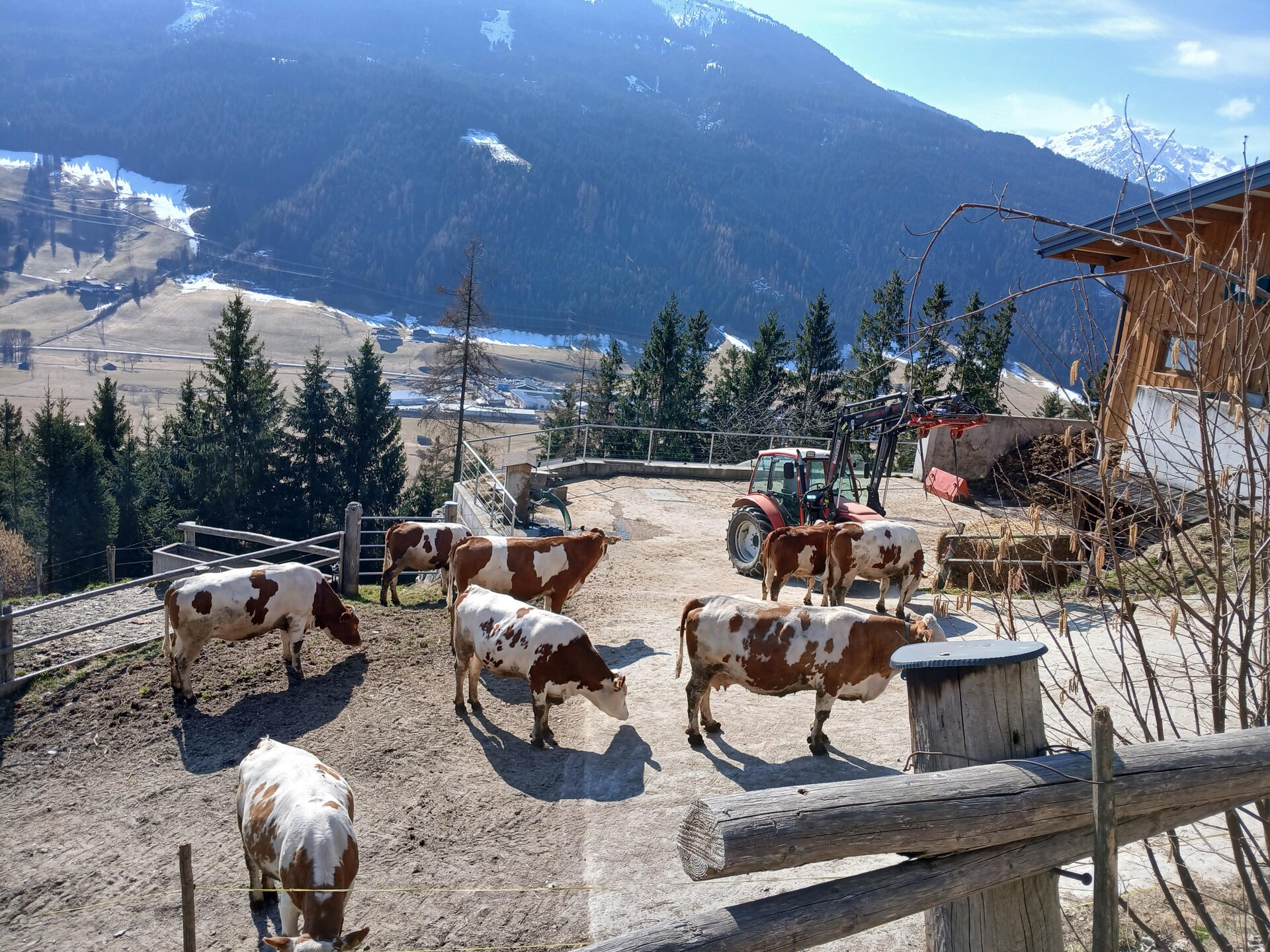 Spielbichl: Gezellig boerderijappartement met sauna en dieren in Salzburgerland - foto 18