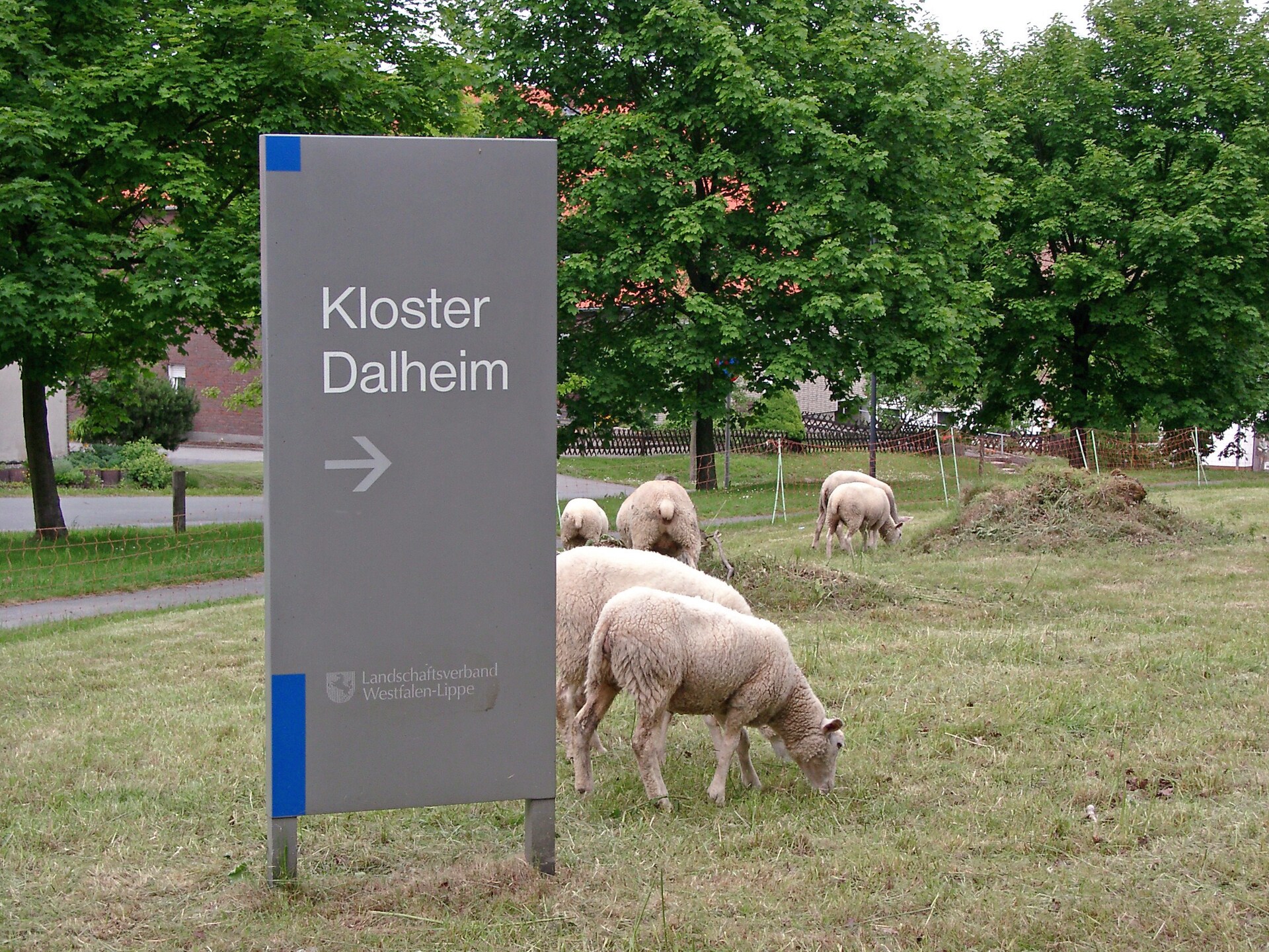 Vakantiehuis in Teutoburgerwoud | 3 pers. | Eigen tuin & bosrijk park - foto 18