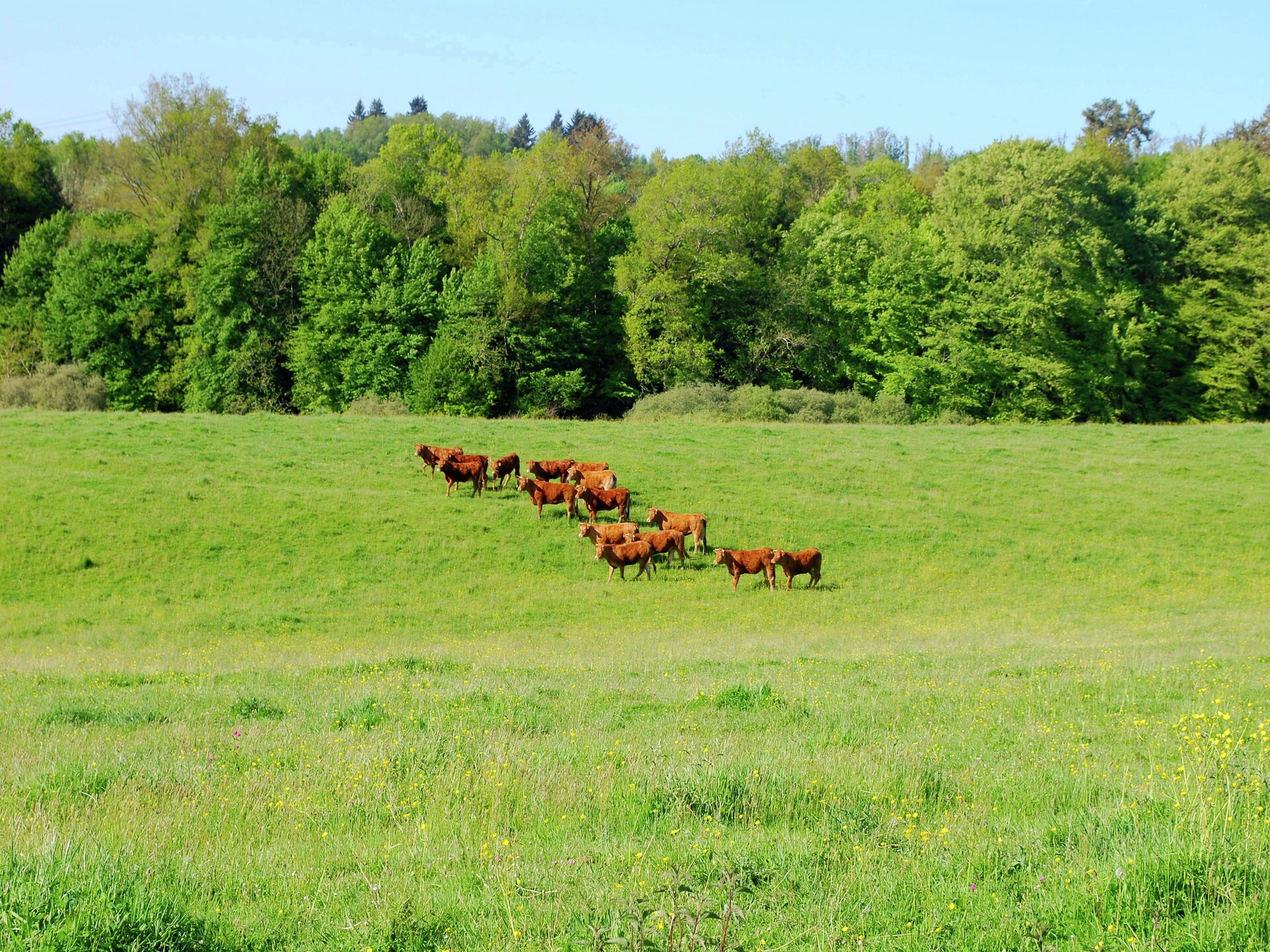 Romantisch landhuis voor 2 op Domaine de Bellac bij golfbaan en zwembad - foto 20