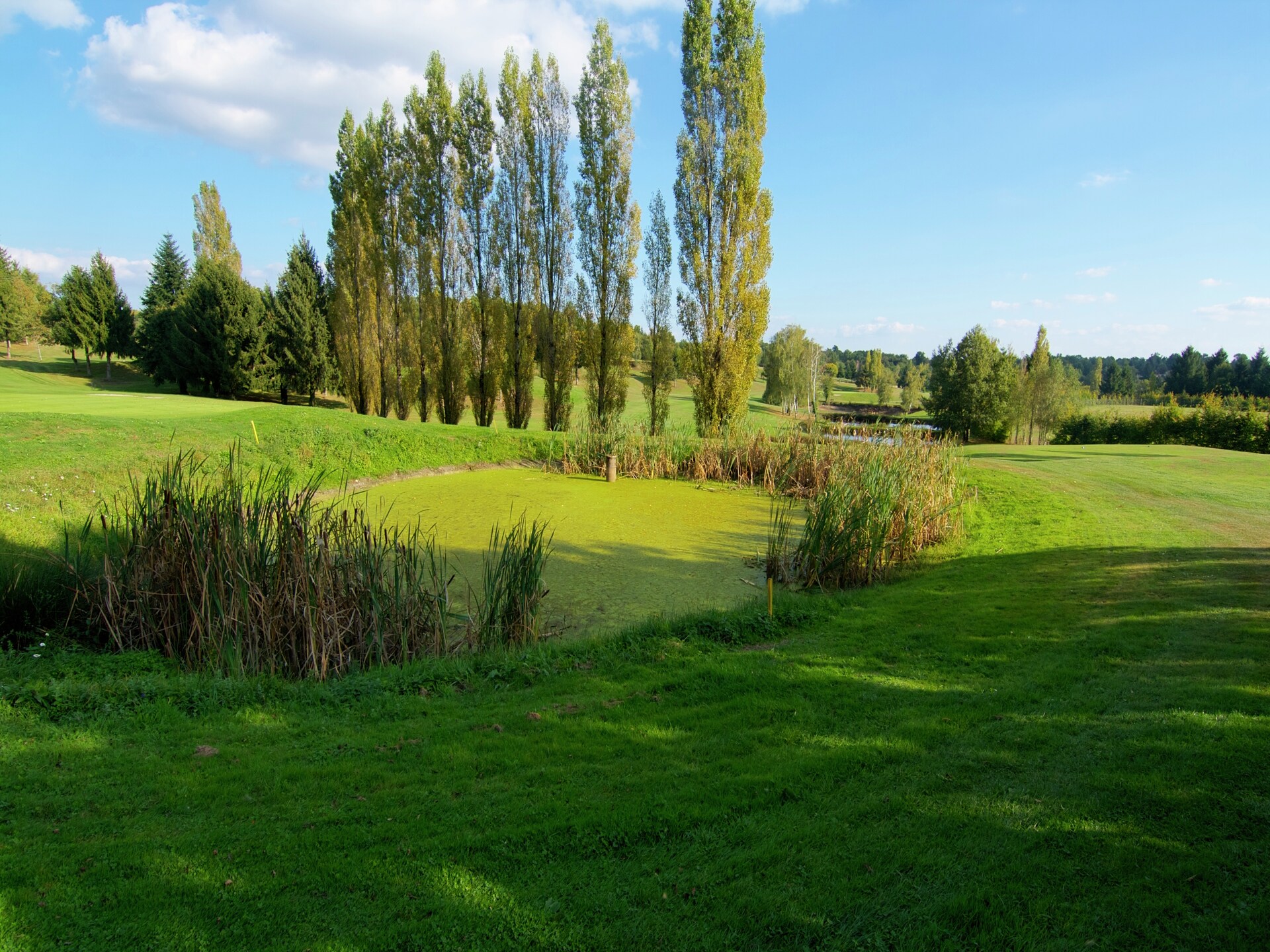Romantisch landhuis voor 2 op Domaine de Bellac bij golfbaan en zwembad - foto 25