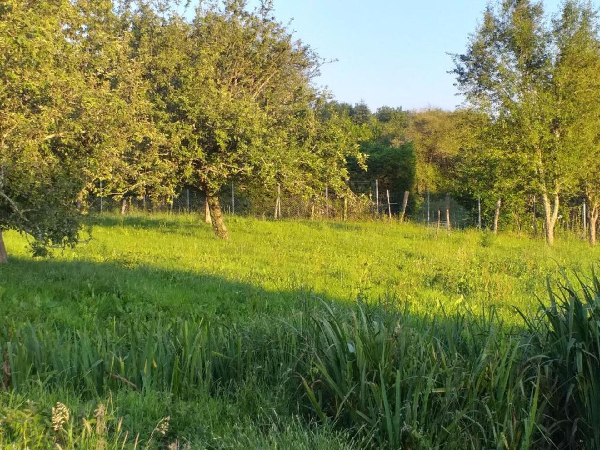 Romantisch landhuis voor 2 op Domaine de Bellac bij golfbaan en zwembad - foto 36