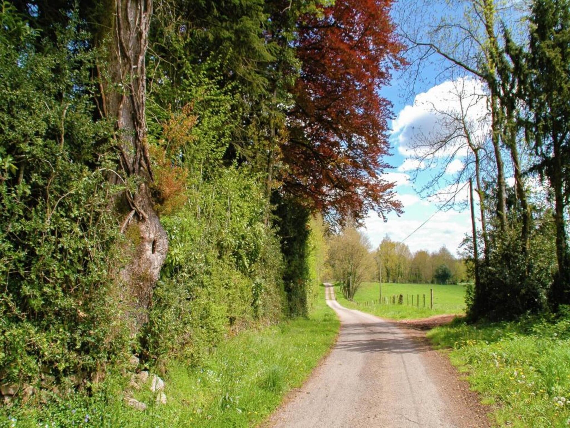 Romantisch landhuis voor 2 op Domaine de Bellac bij golfbaan en zwembad - foto 39