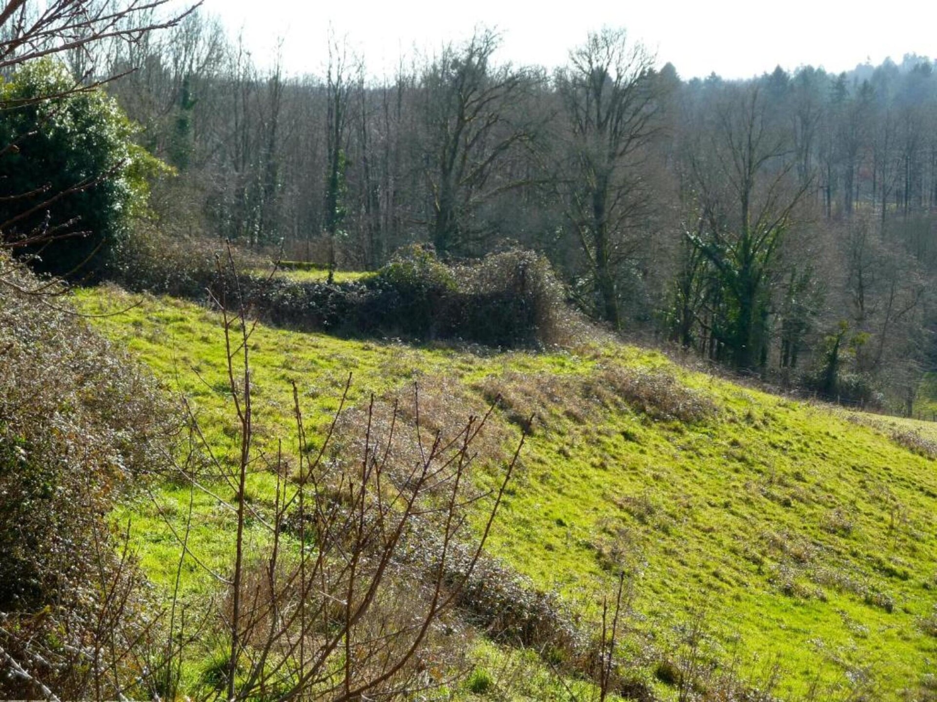 Authentiek landhuis in Roussines met privé terras en zicht op 35 ha natuur - foto 30