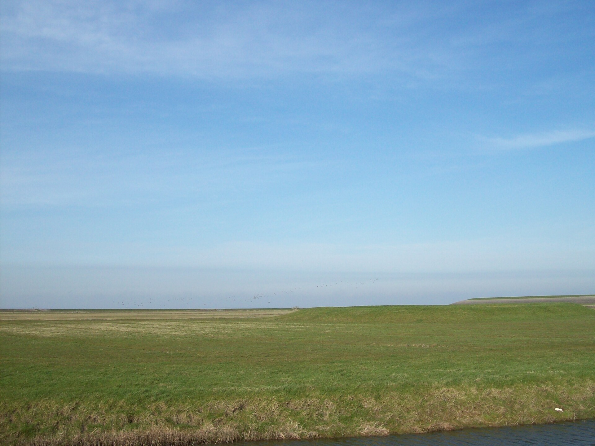 Groepsboerderij aan Waddenzee voor 30 gasten met eigen bar - foto 37