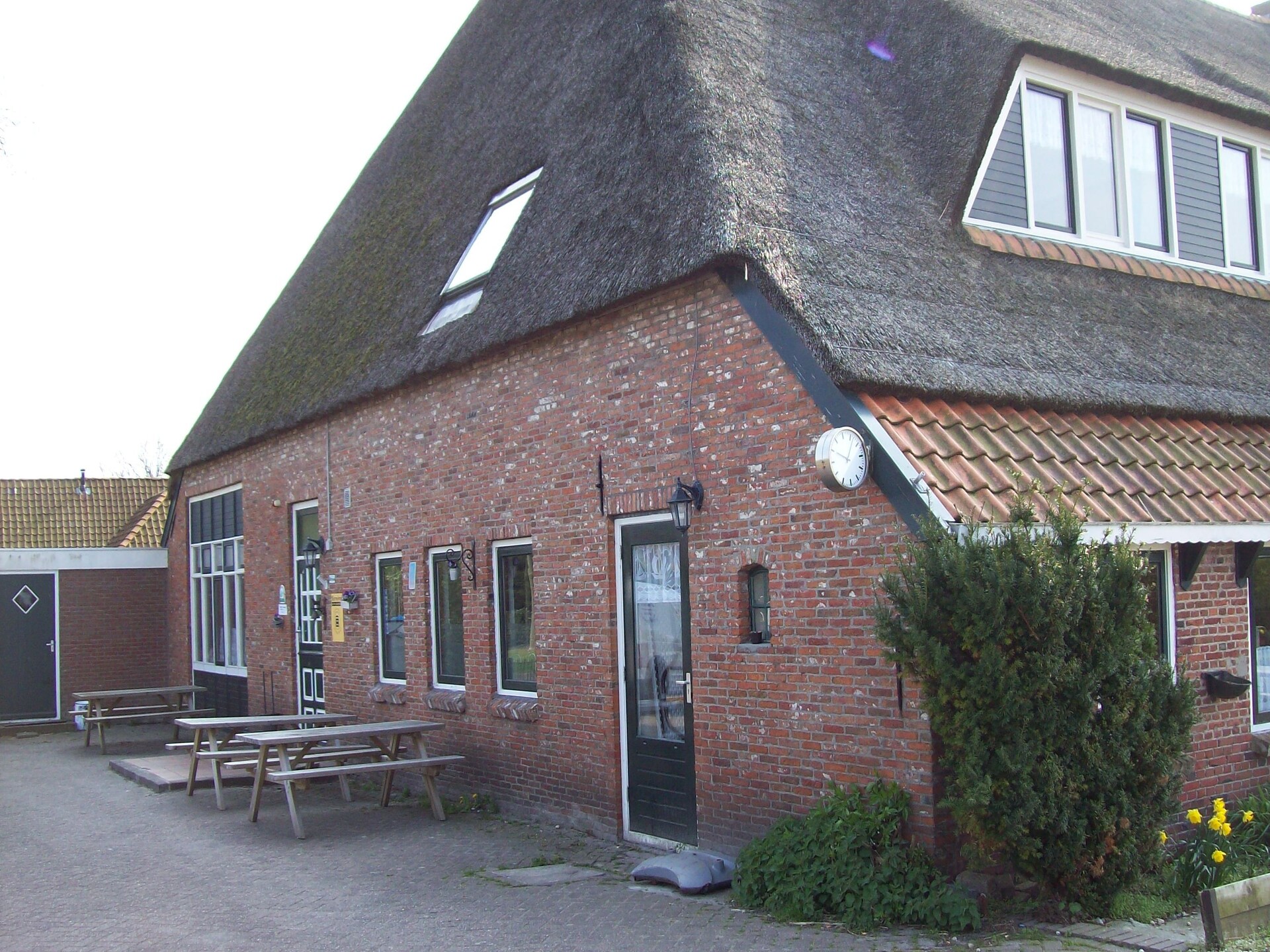 Groepsboerderij aan Waddenzee voor 30 gasten met eigen bar - foto 6