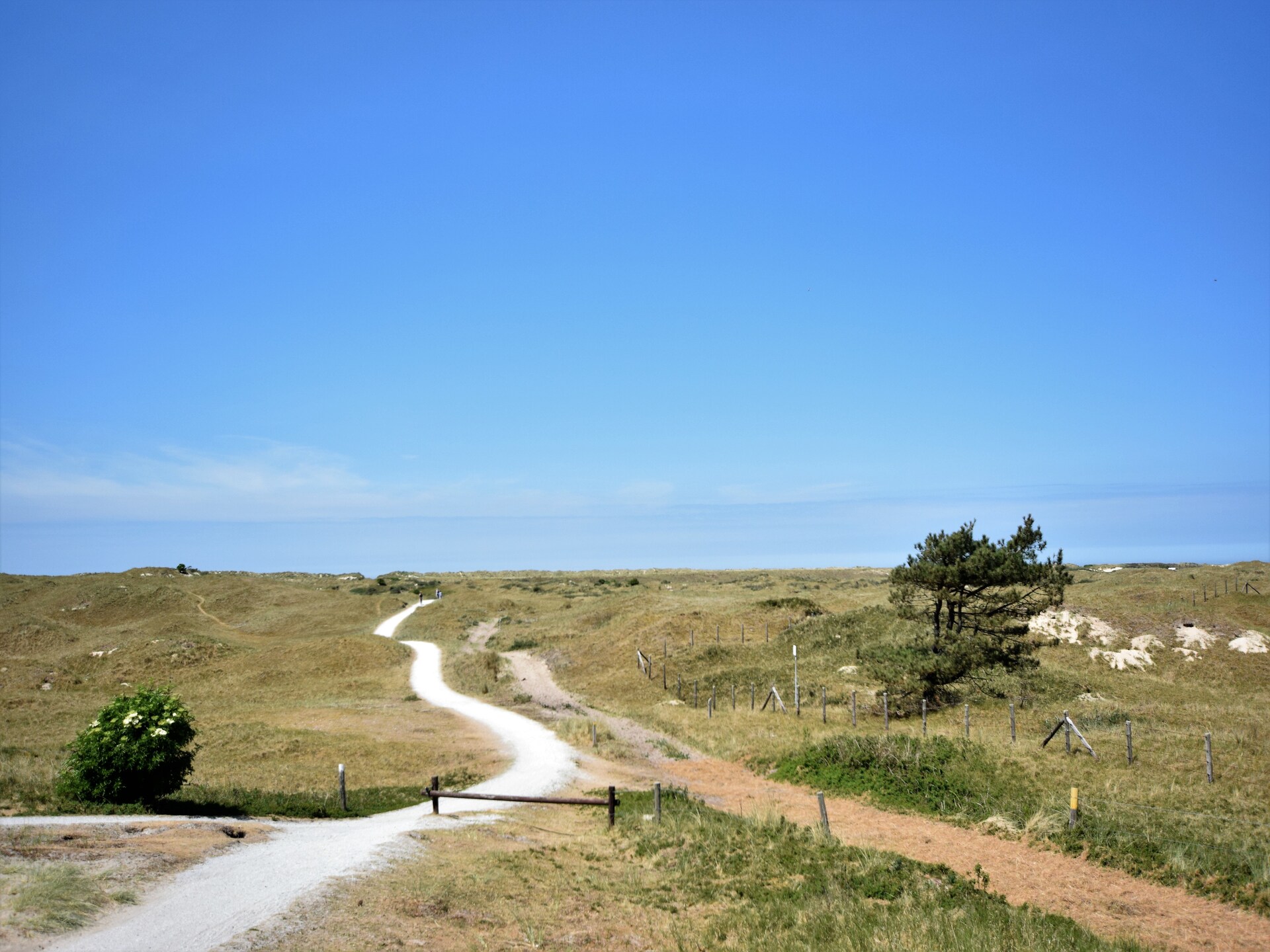 Zandlust: knus appartement aan de duinen van Hollum, Ameland - foto 32