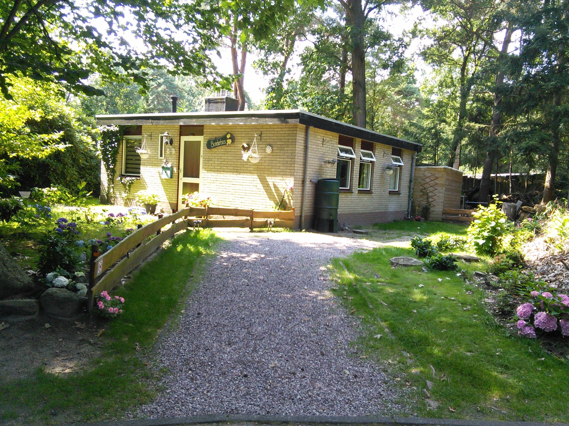 Bunderbos: Knus vakantiehuis in het bos bij Ommen, 4 pers. - foto 6