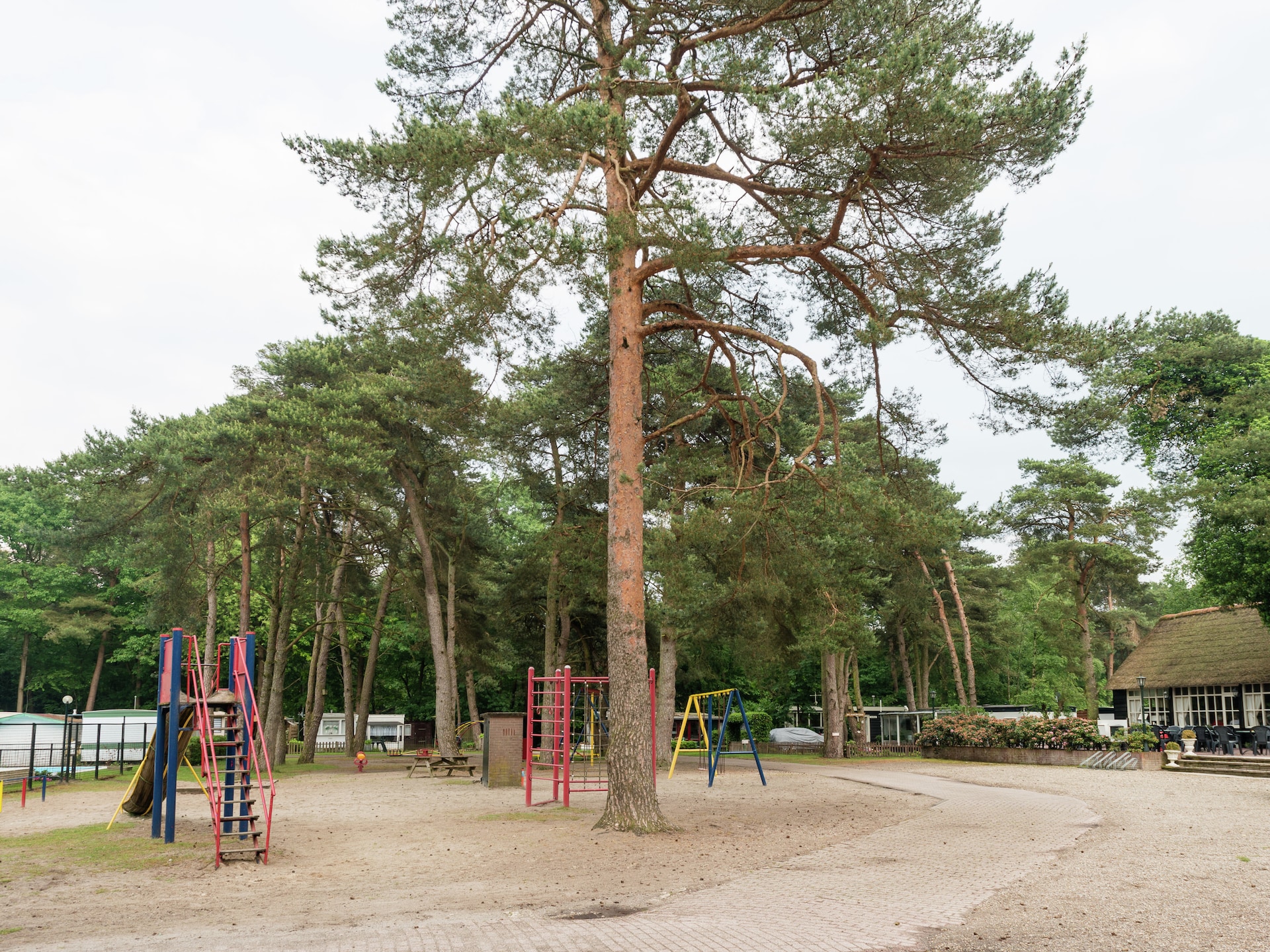 Bunderbos: Knus vakantiehuis in het bos bij Ommen, 4 pers. - foto 24