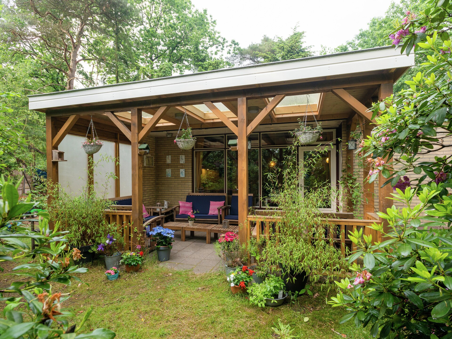 Bunderbos: Knus vakantiehuis in het bos bij Ommen, 4 pers. - foto 19