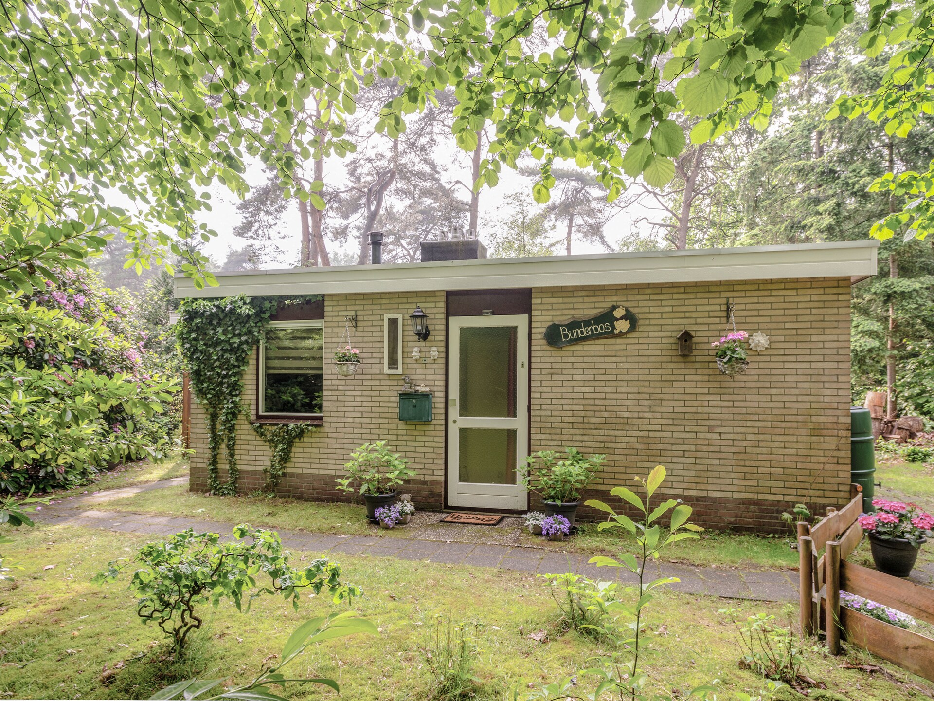 Bunderbos: Knus vakantiehuis in het bos bij Ommen, 4 pers. - foto 8