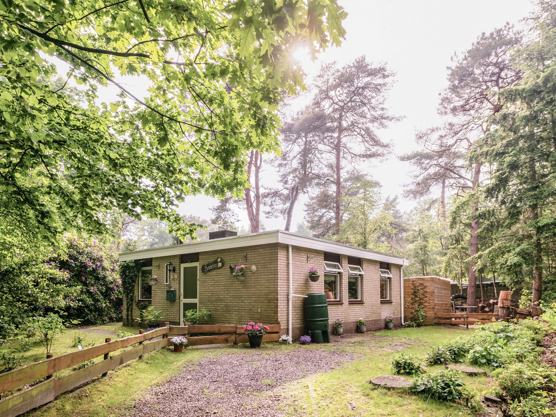 Bunderbos: Knus vakantiehuis in het bos bij Ommen, 4 pers. - foto 7