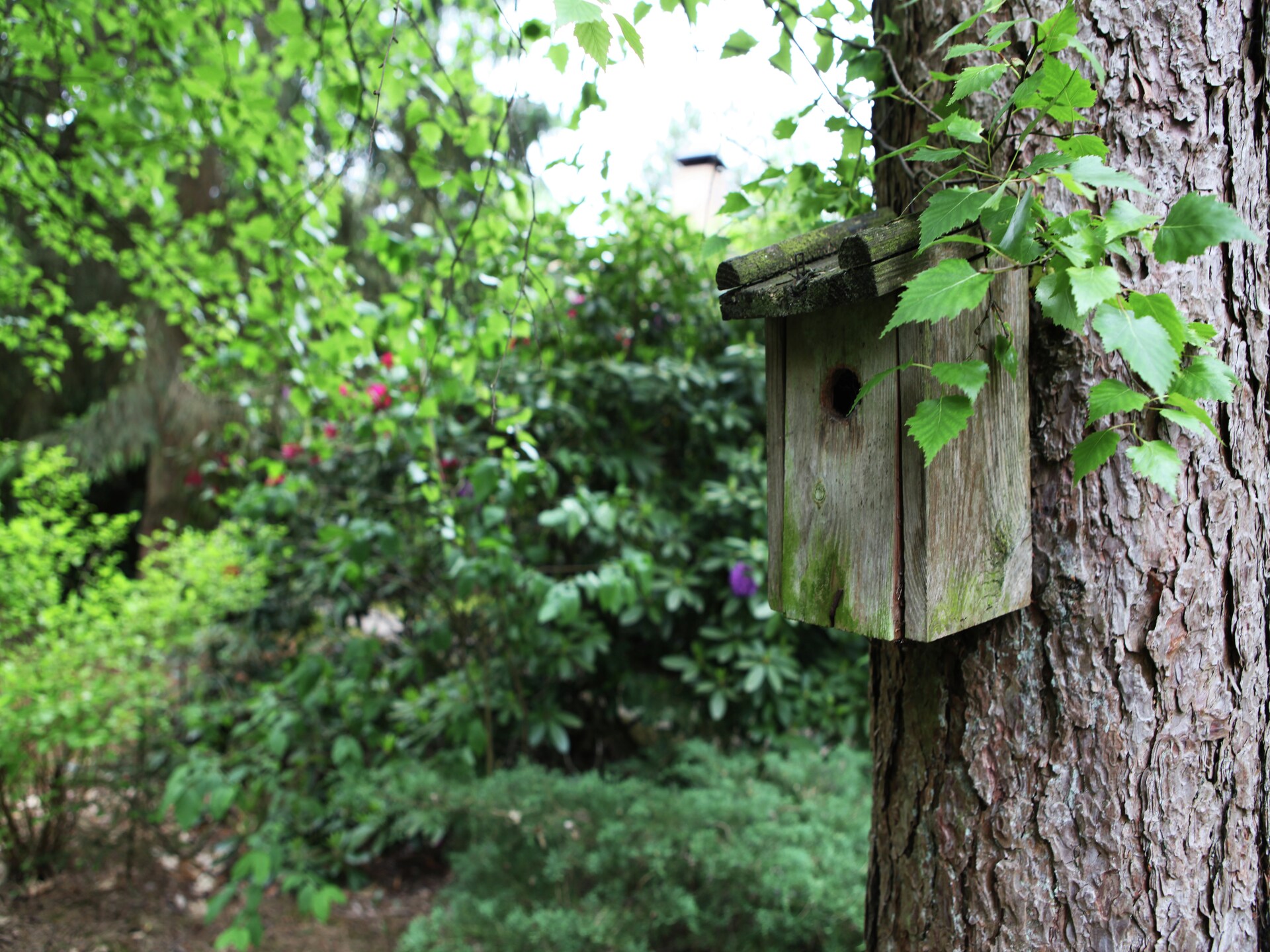 De Grove Den: Ruime groepsvilla aan Veluwemeer met campingfaciliteiten - foto 29