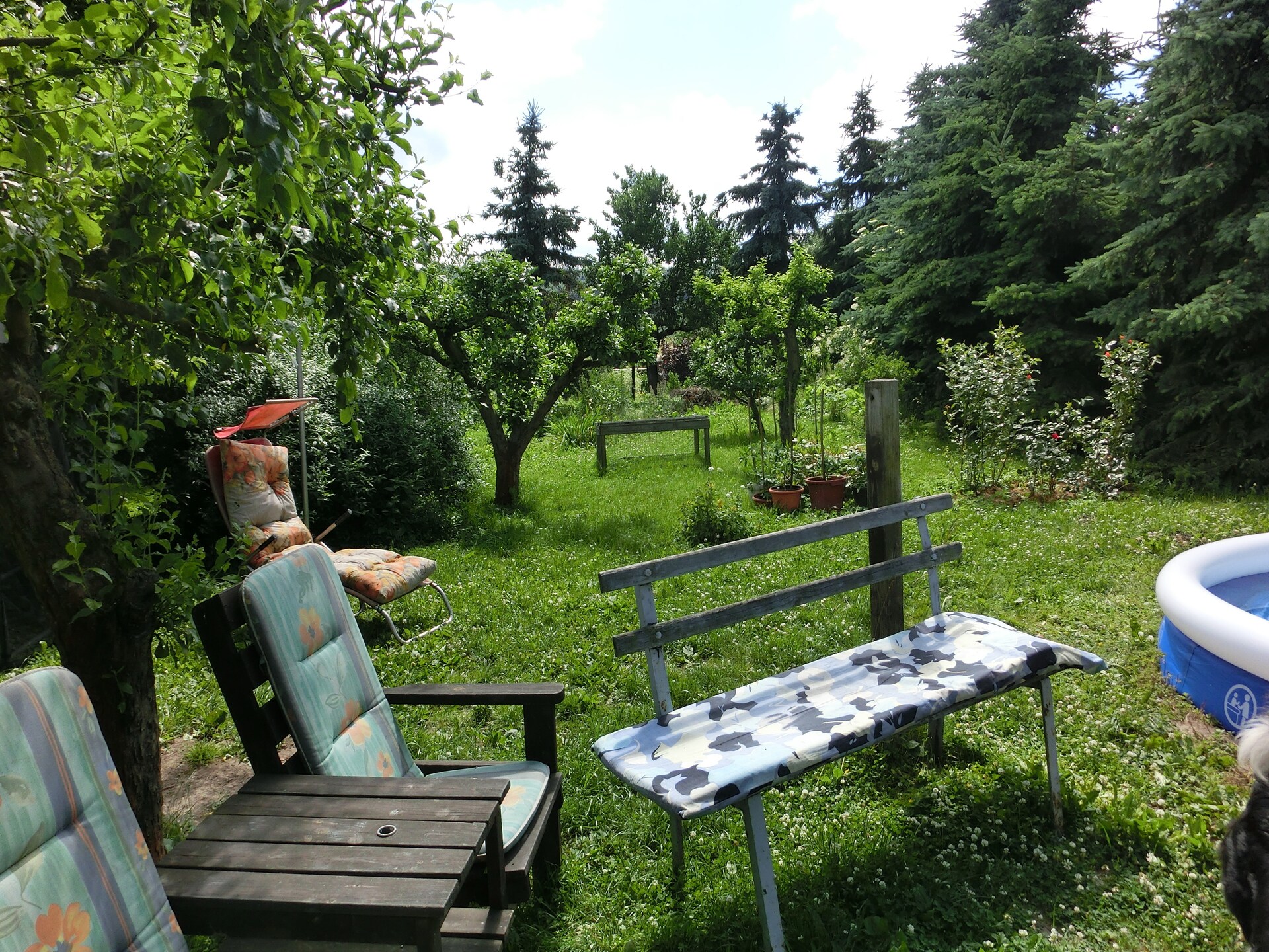 Knus vakantiehuis aan de bosrand in Cattenstedt, Harz - foto 25