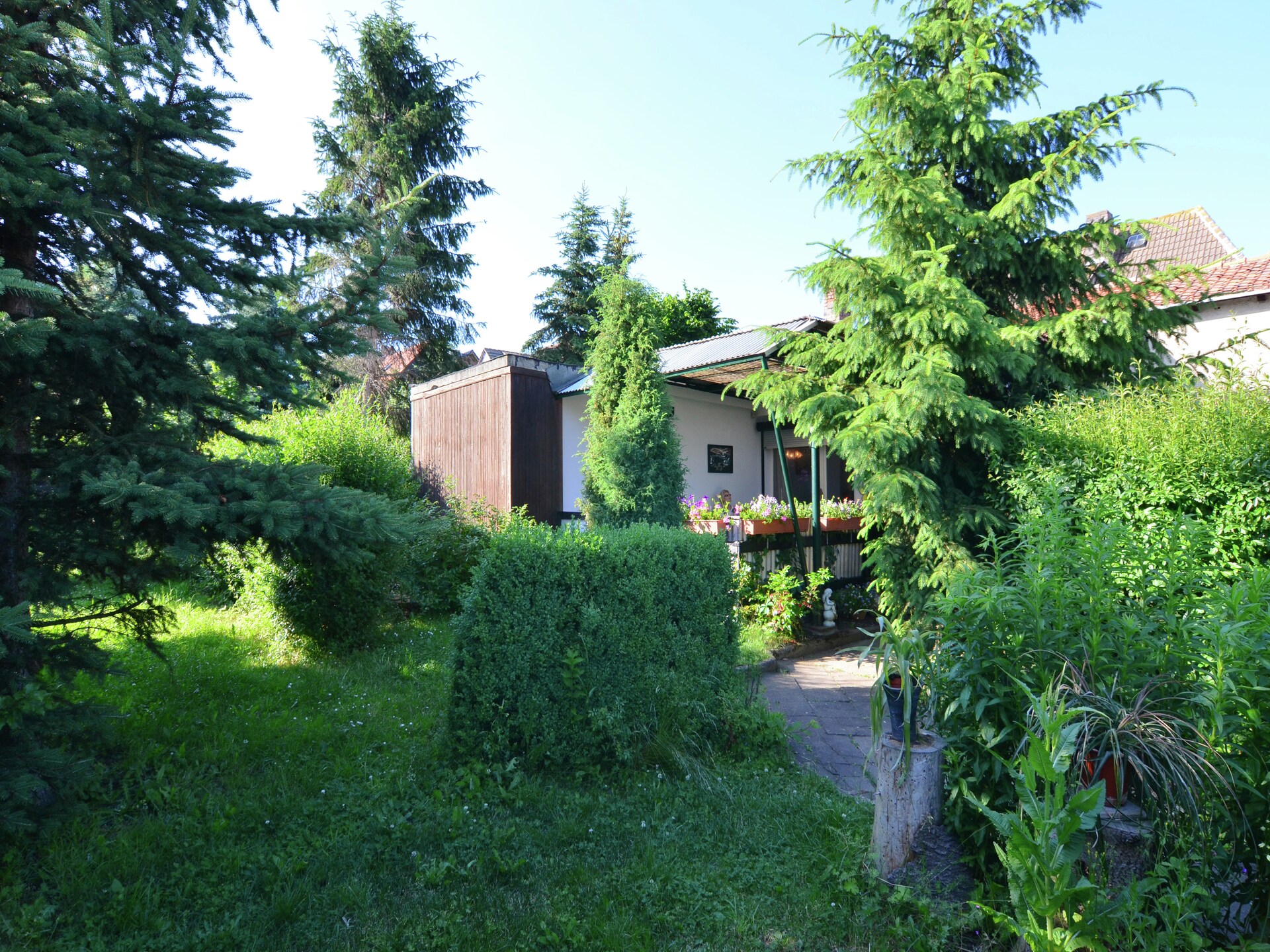Knus vakantiehuis aan de bosrand in Cattenstedt, Harz - foto 27