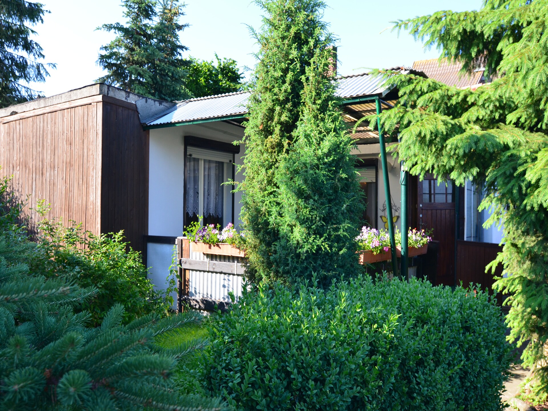 Knus vakantiehuis aan de bosrand in Cattenstedt, Harz - foto 21