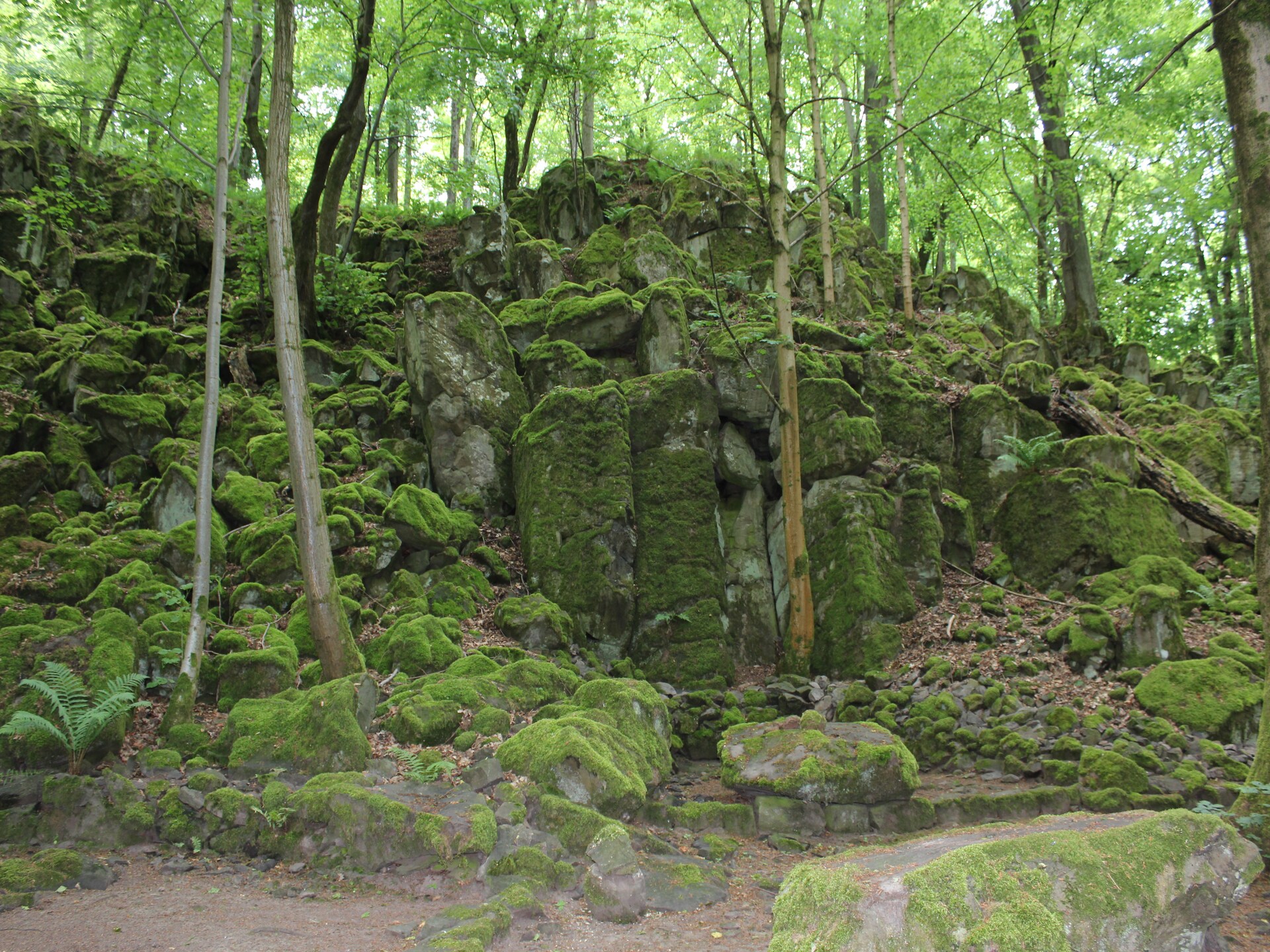Ruime 15-persoons villa aan het bos met sauna bij Schotten - foto 37