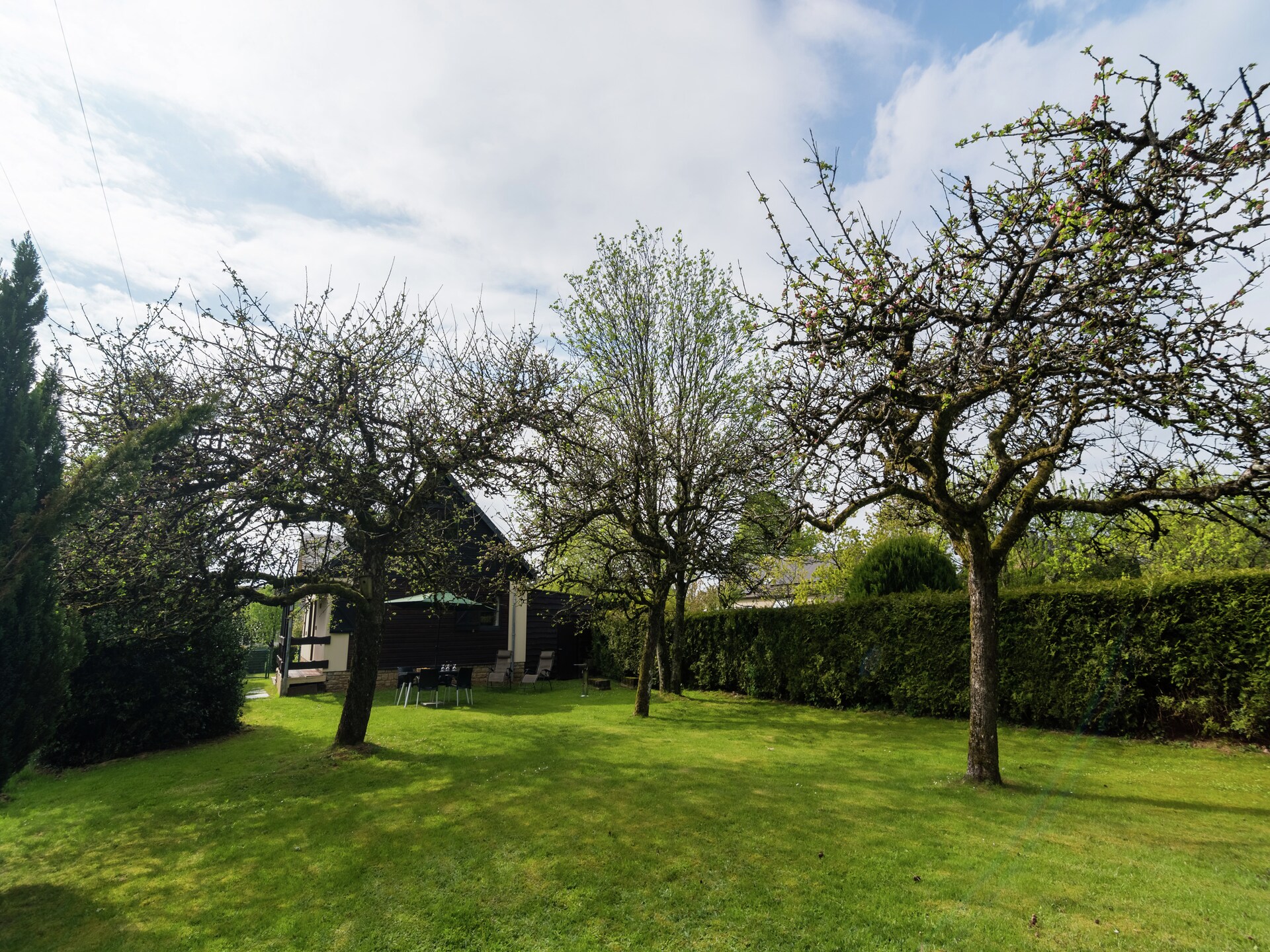 Landhuis Alouette: 4-persoons bosvilla bij Chiny aan de Semois - foto 19