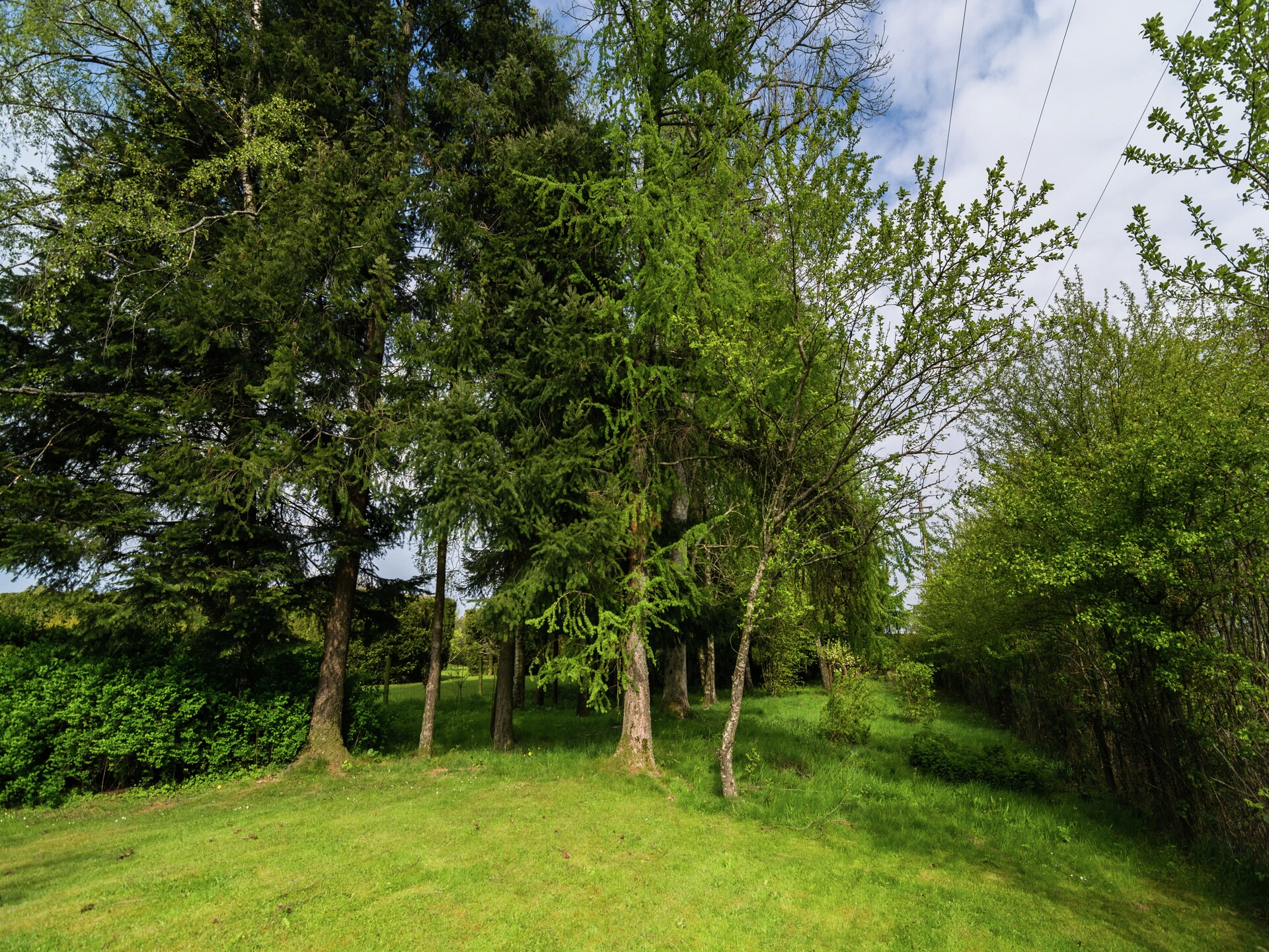 Landhuis Alouette: 4-persoons bosvilla bij Chiny aan de Semois - foto 20