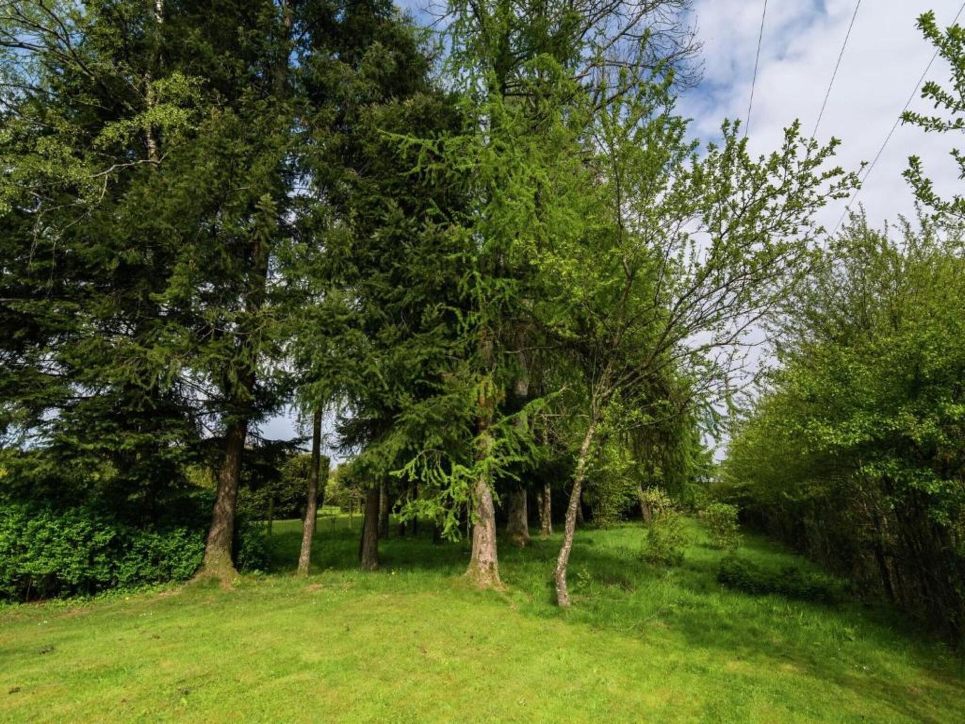 Landhuis Alouette: 4-persoons bosvilla bij Chiny aan de Semois - foto 28