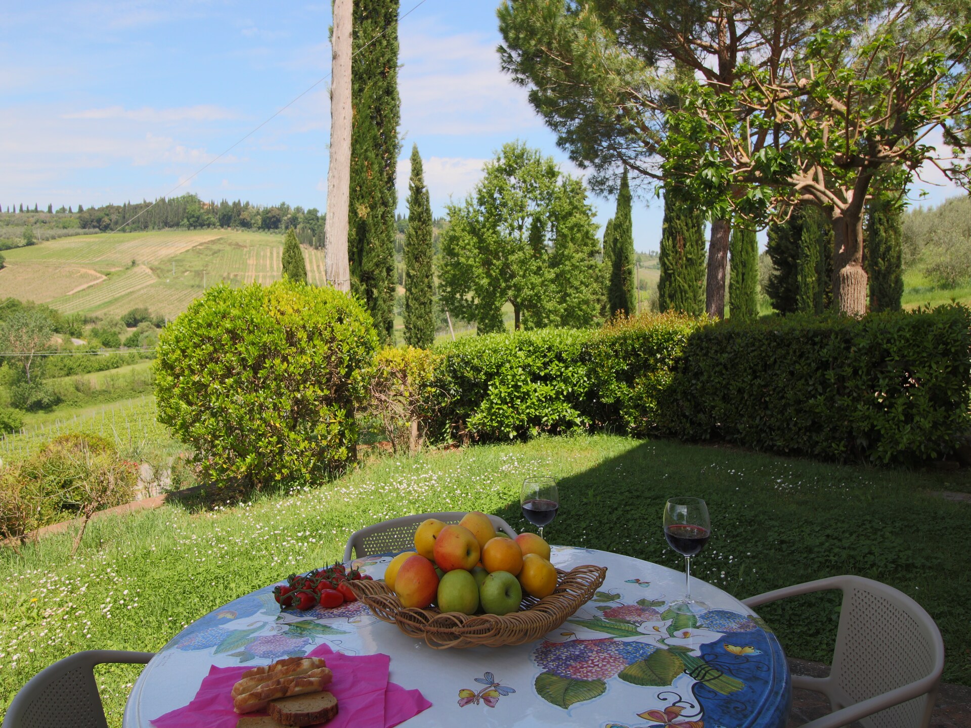 Authentiek Toscaans appartement op biologische wijnboerderij bij San Gimignano - foto 7