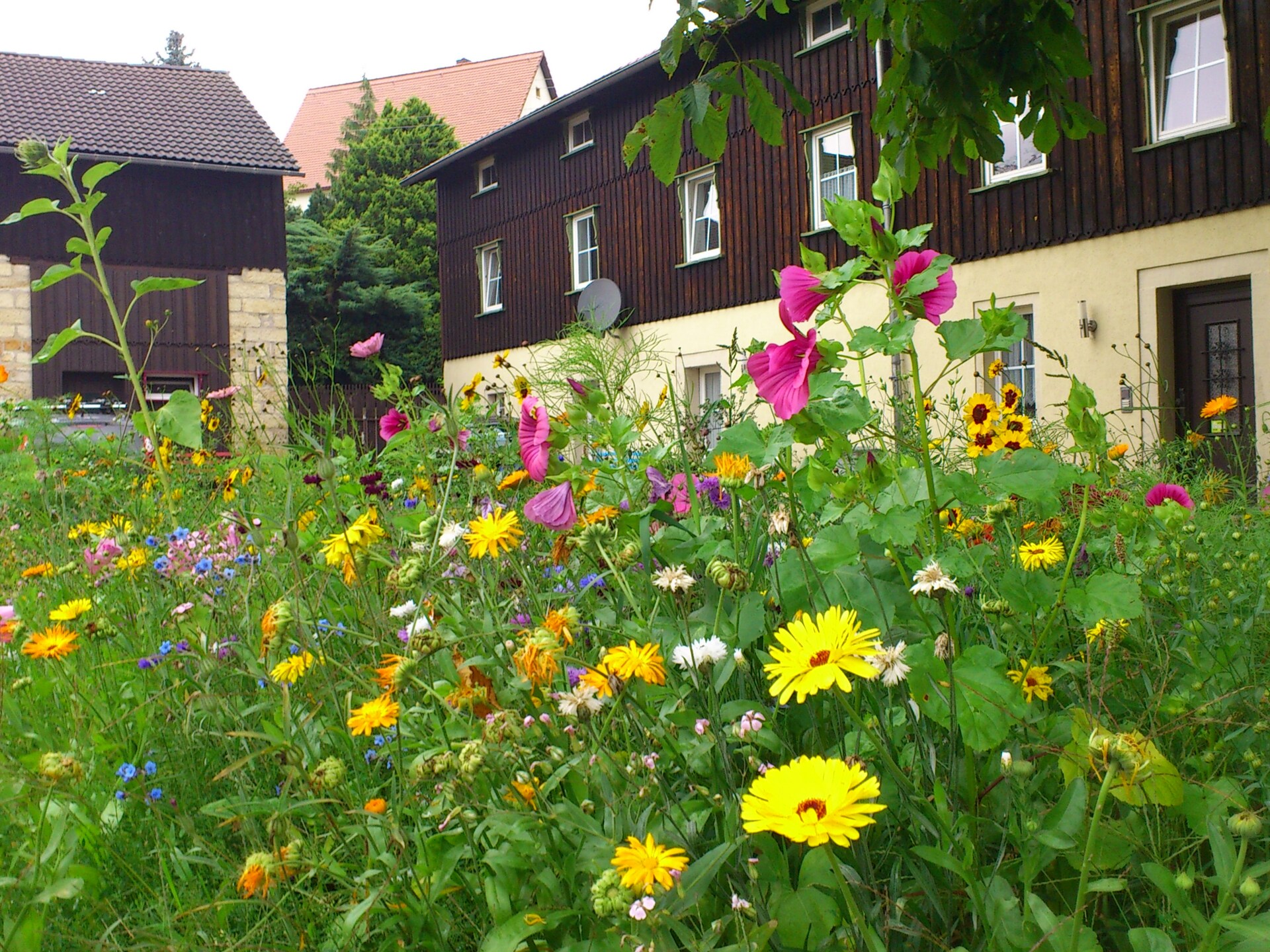 Ruim appartement in Struppen-Weißig, vlakbij bos en Elbe - foto 1