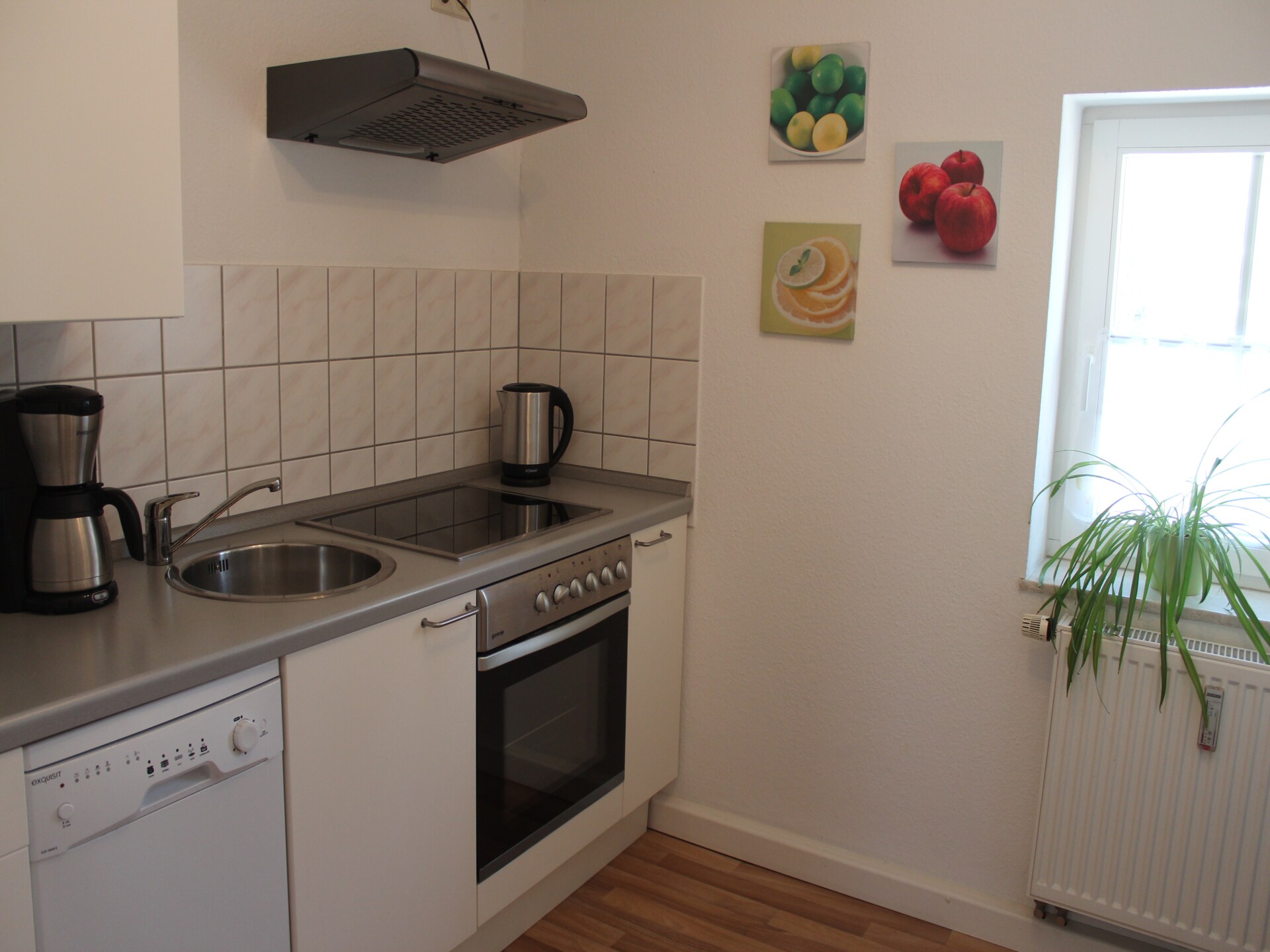 Ruim appartement in Struppen-Weißig, vlakbij bos en Elbe - foto 8