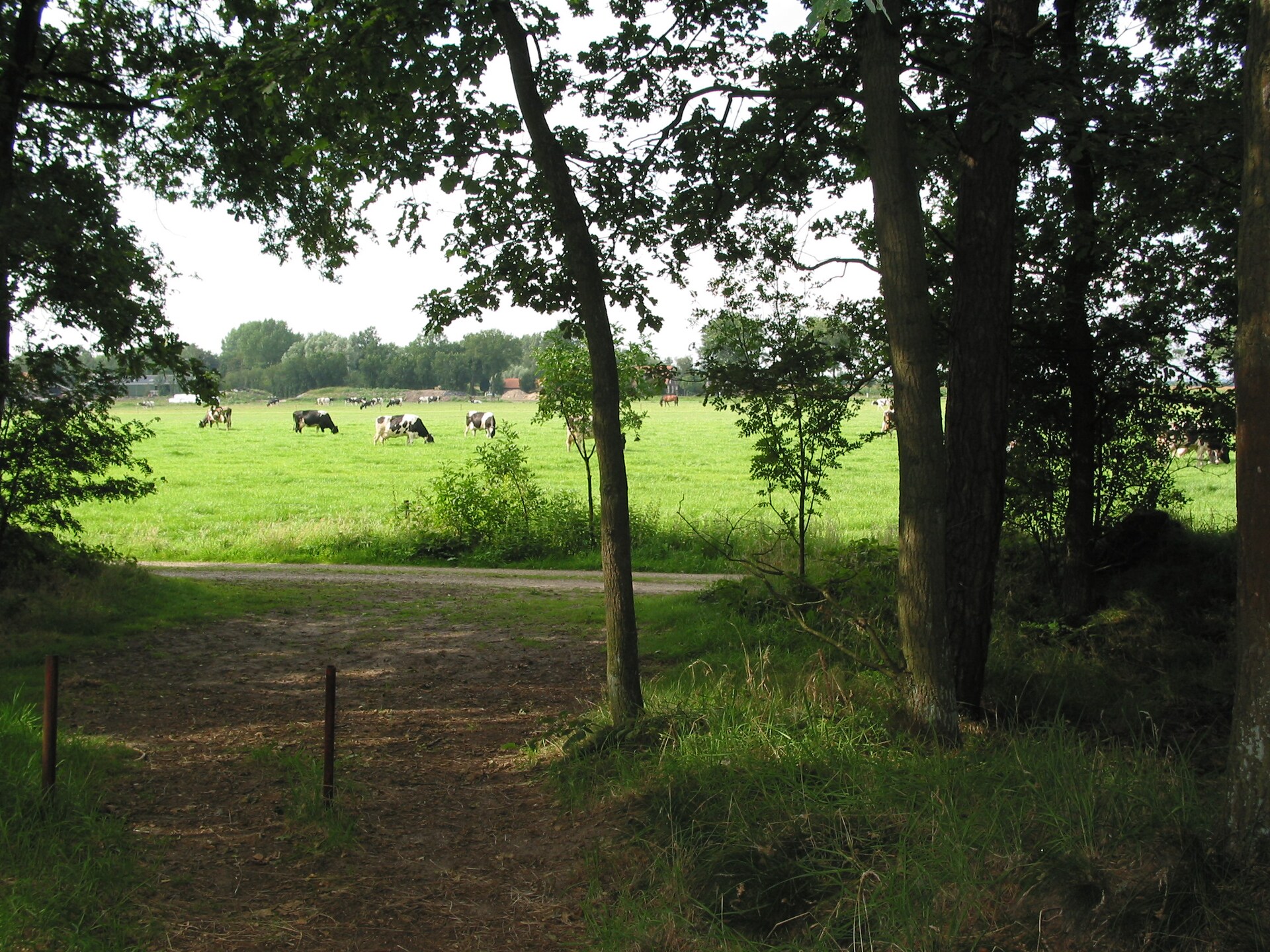 Knusse boshut voor 4 personen op Vakantiepark Herperduin - foto 20