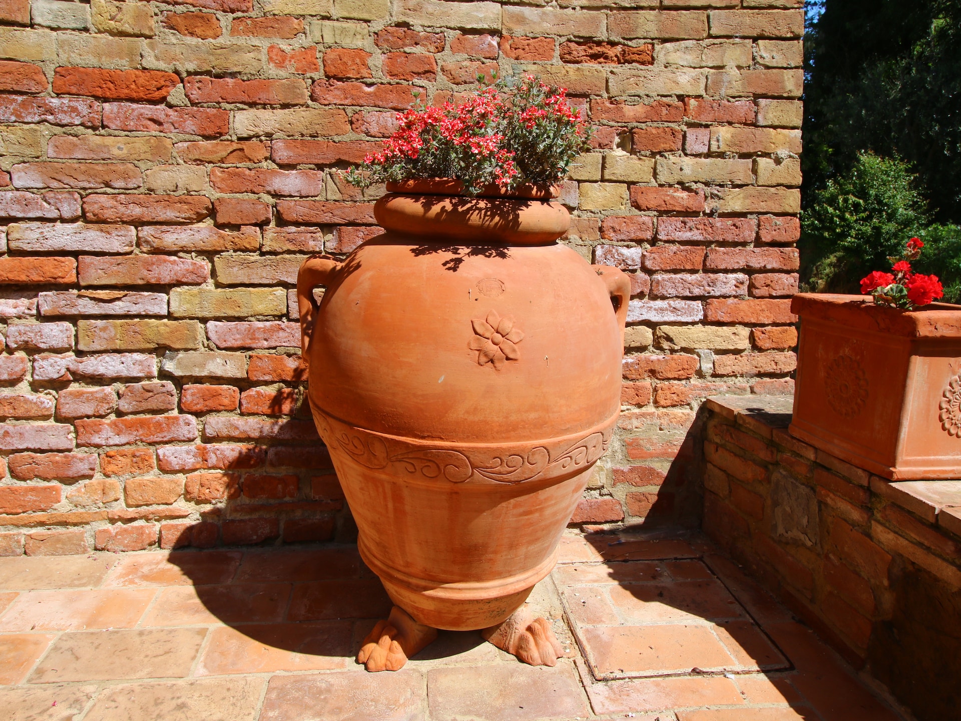 Authentieke boerderij La Verbena in Montalcino voor 6 personen - foto 39