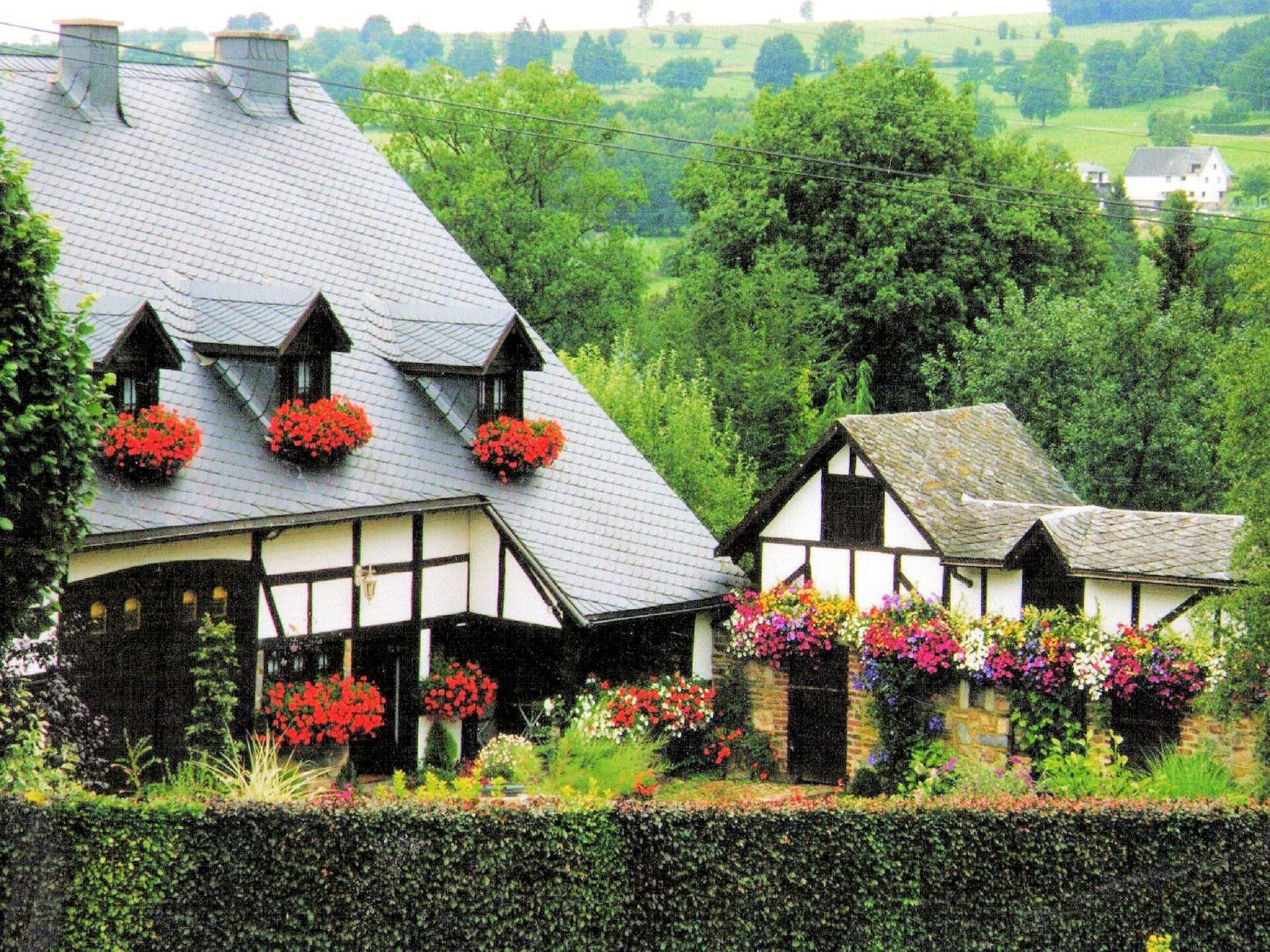Landhuis La Fleur des Bois: 7-persoons vakantiehuis aan de bosrand in Malmédy - foto 1
