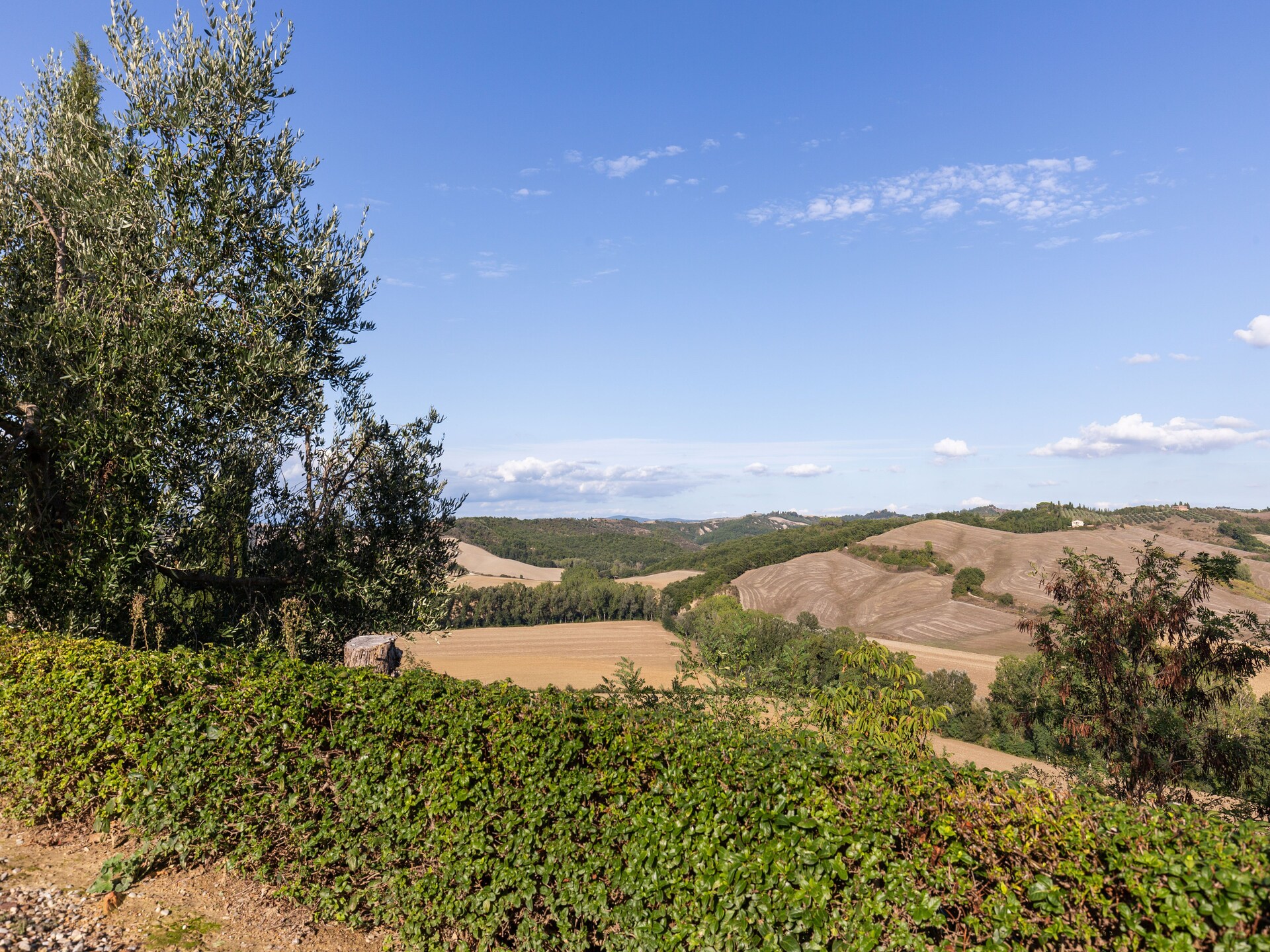 Romantisch boerderij-appartement in de Toscaanse heuvels bij Buonconvento - foto 10