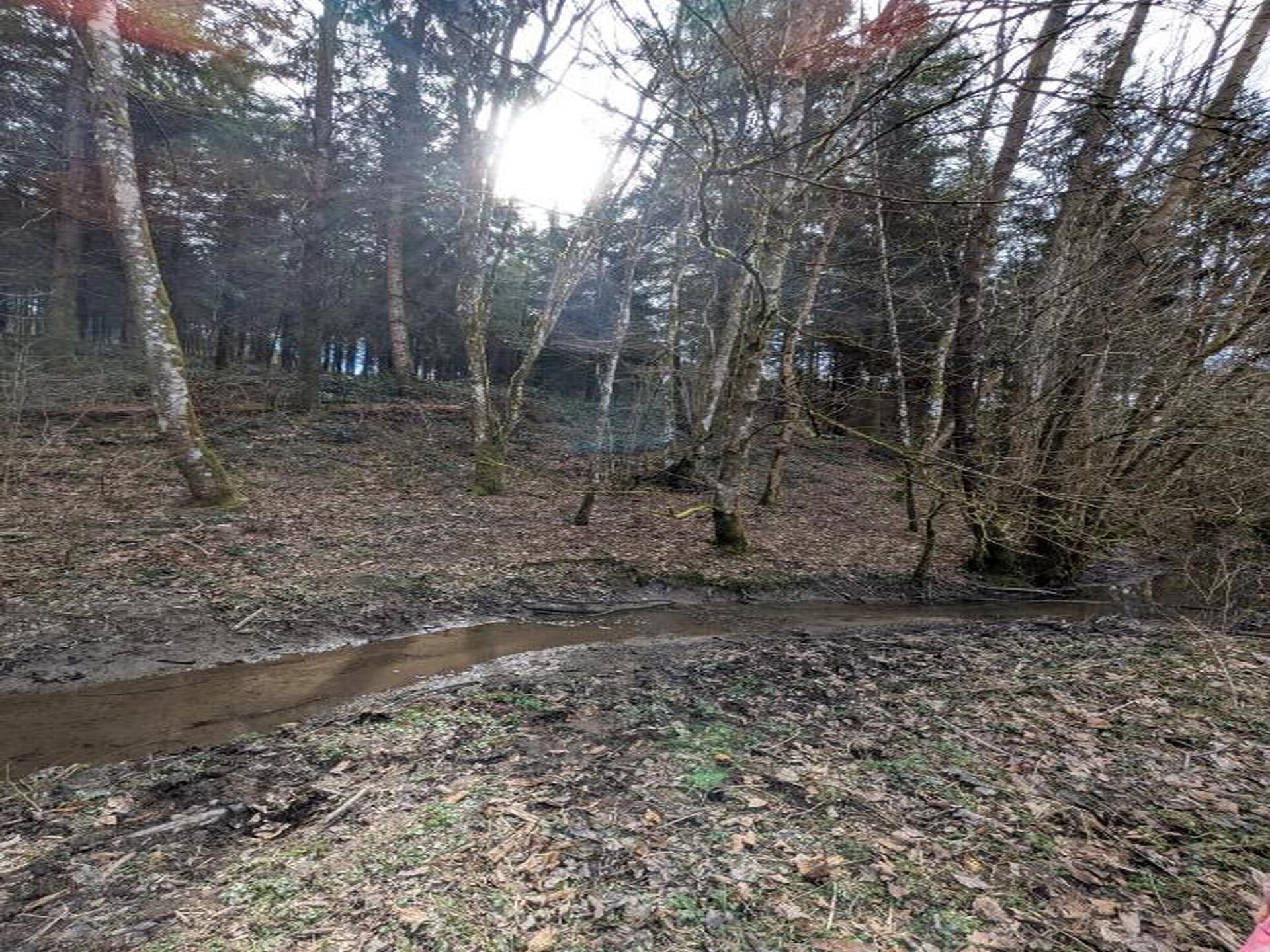 Knus chalet La Tanière voor 6 personen in Noiseux - foto 37