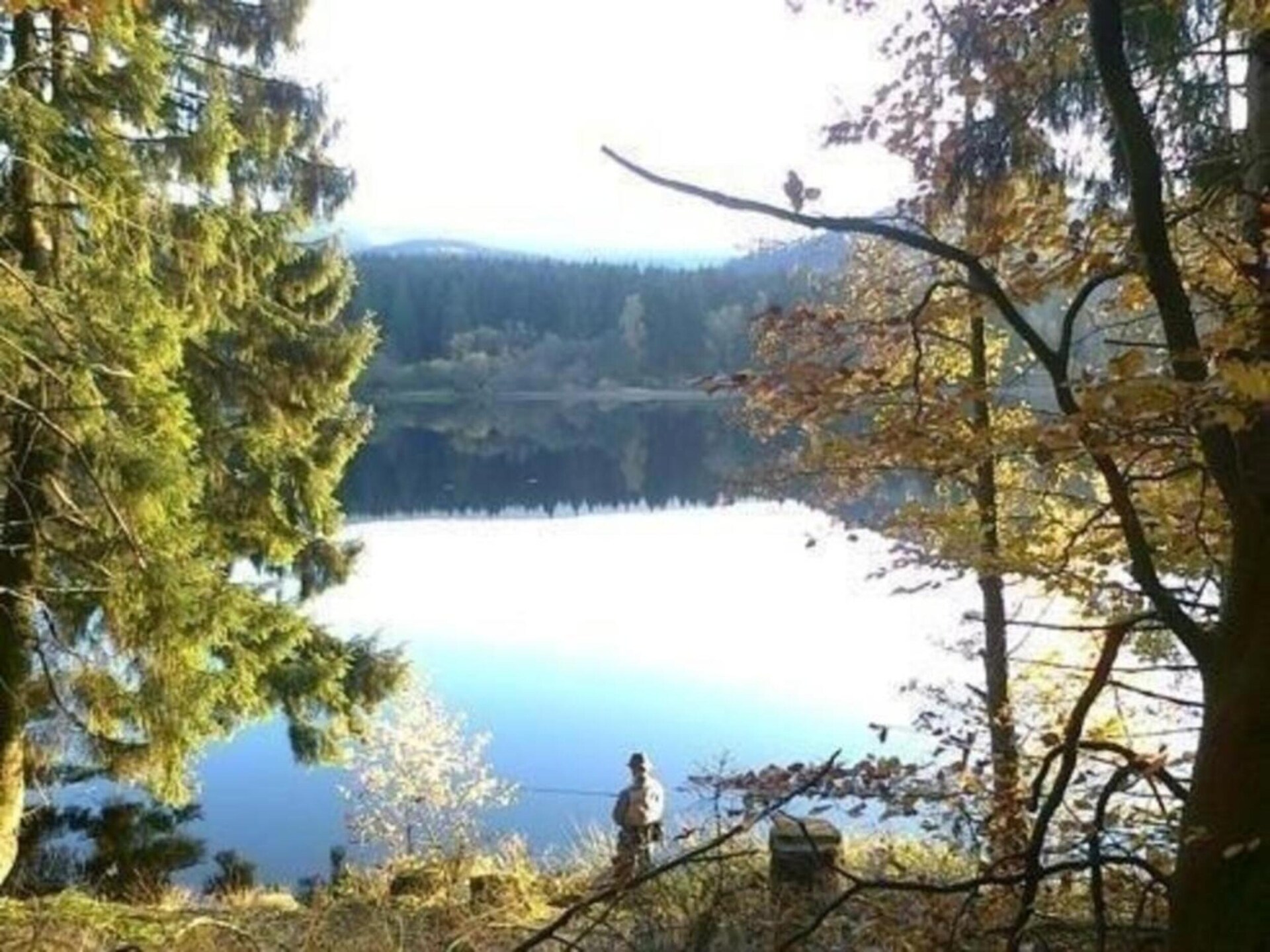 Fuchsbau: Vrijstaand vakantiehuis in het bos van de Harz voor 8 personen - foto 30