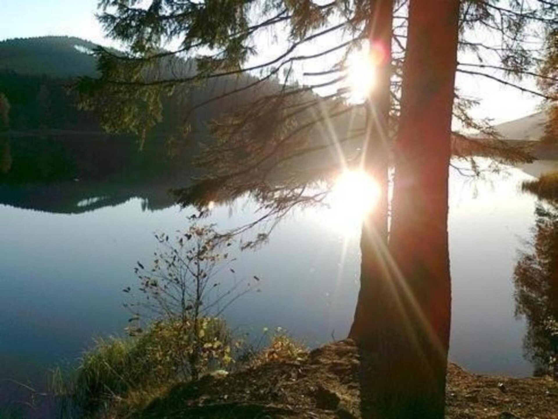 Fuchsbau: Vrijstaand vakantiehuis in het bos van de Harz voor 8 personen - foto 31