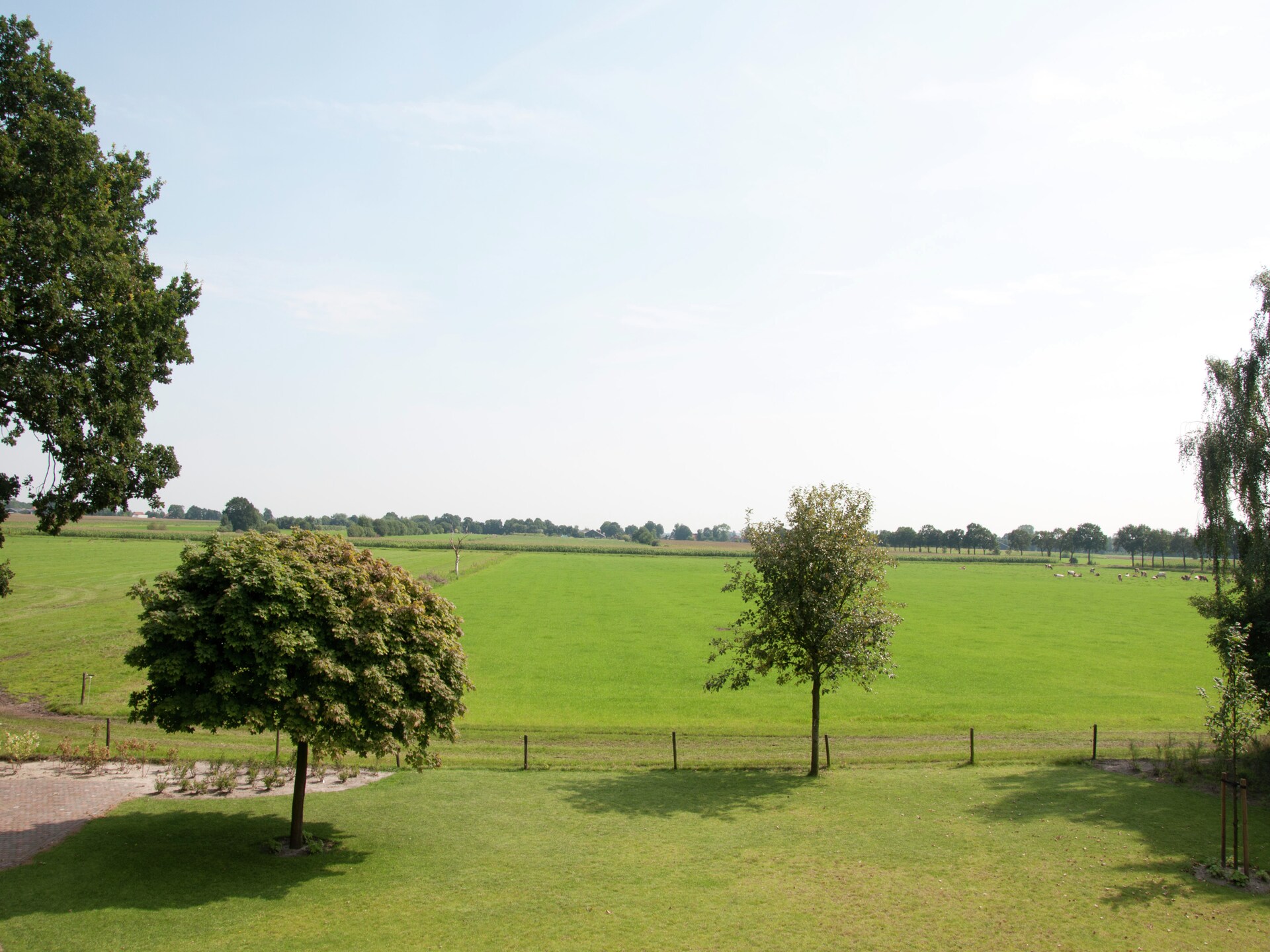 Landhuis de Linde: stijlvol wellness-oord voor 15 personen in Drentse bosrijke omgeving - foto 30