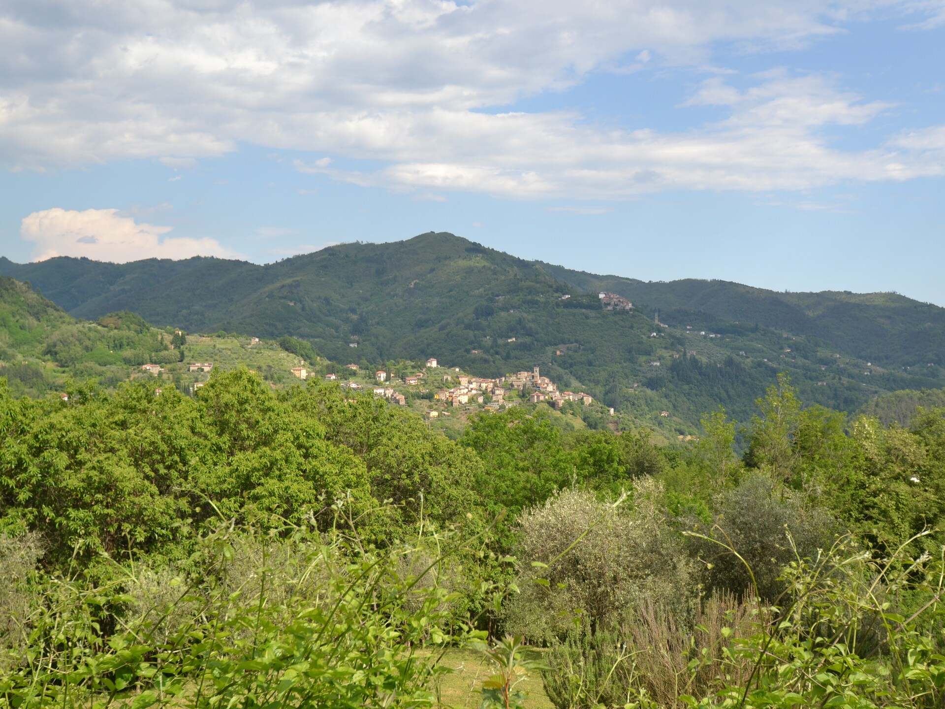 Landhuis Olivi Verde in San Quirico – Ruim en kindvriendelijk met gedeeld zwembad - foto 25