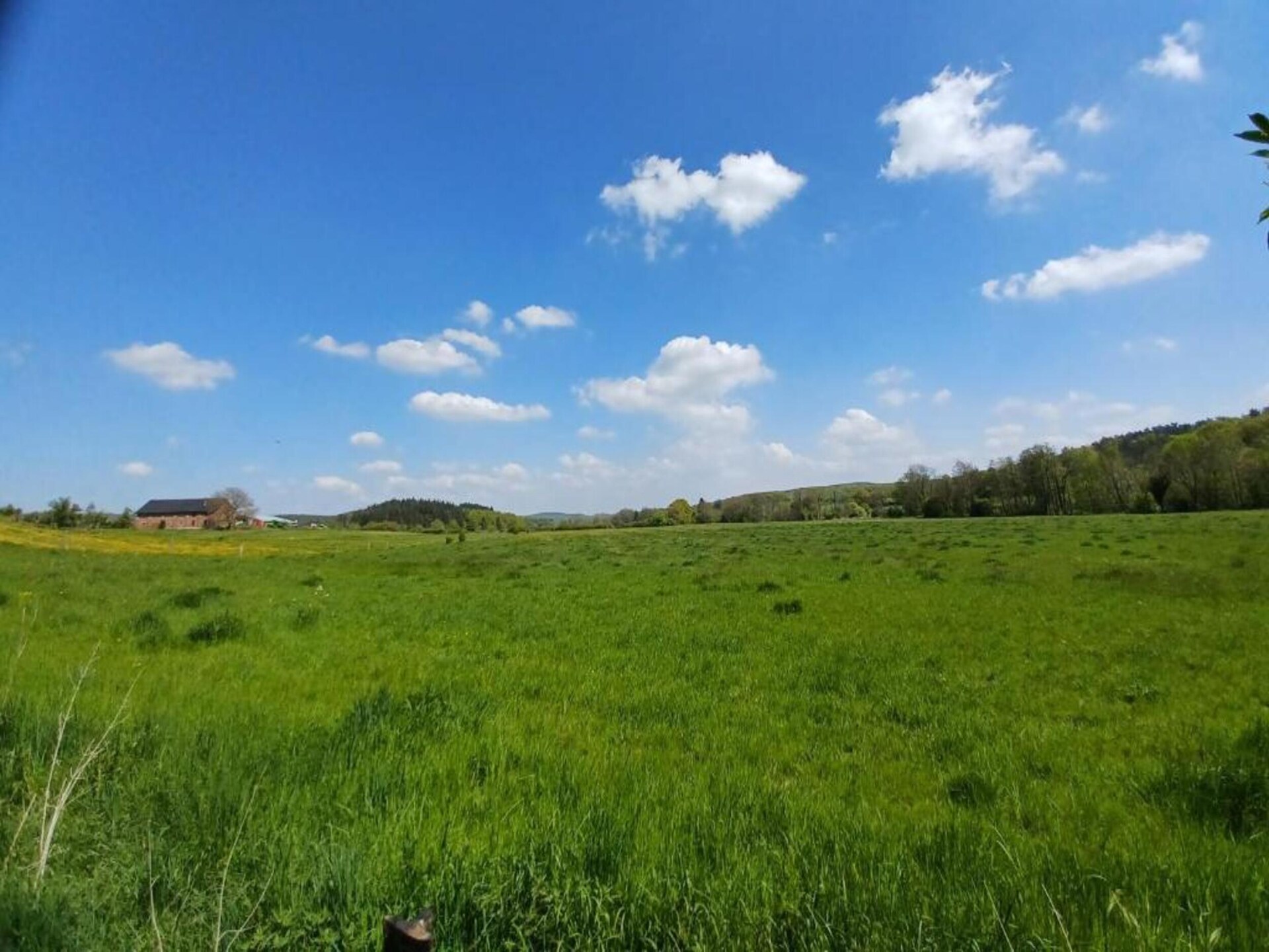 Li Vêrt Veschau: authentieke boerderij in de Ardennen voor 6 personen - foto 31