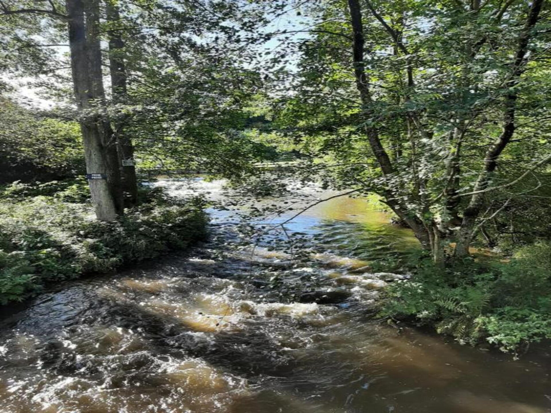 Li Vêrt Veschau: authentieke boerderij in de Ardennen voor 6 personen - foto 38