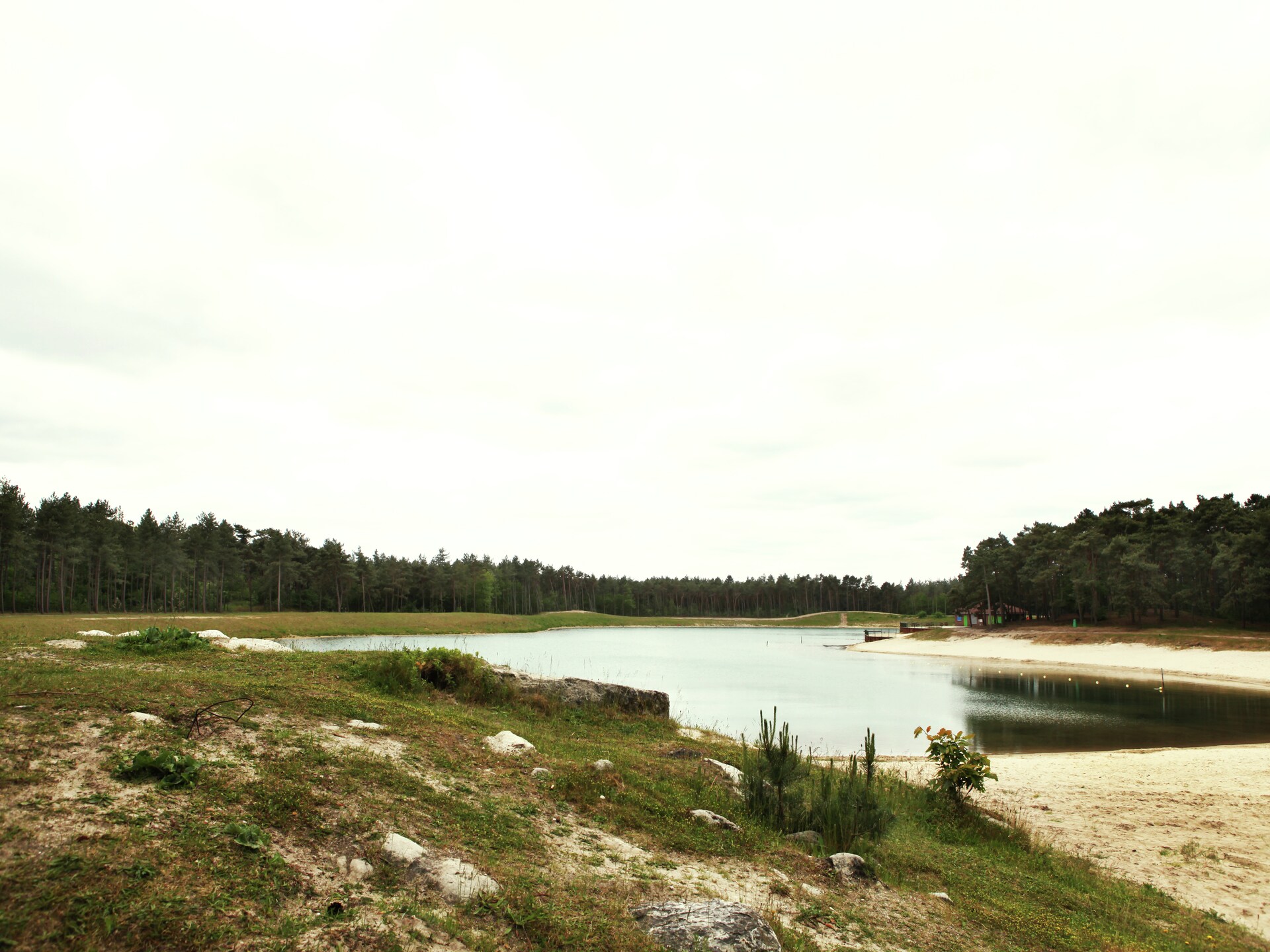 De Grove Den: Ruime groepsvilla aan bosrand met Veluwe op loopafstand - foto 25
