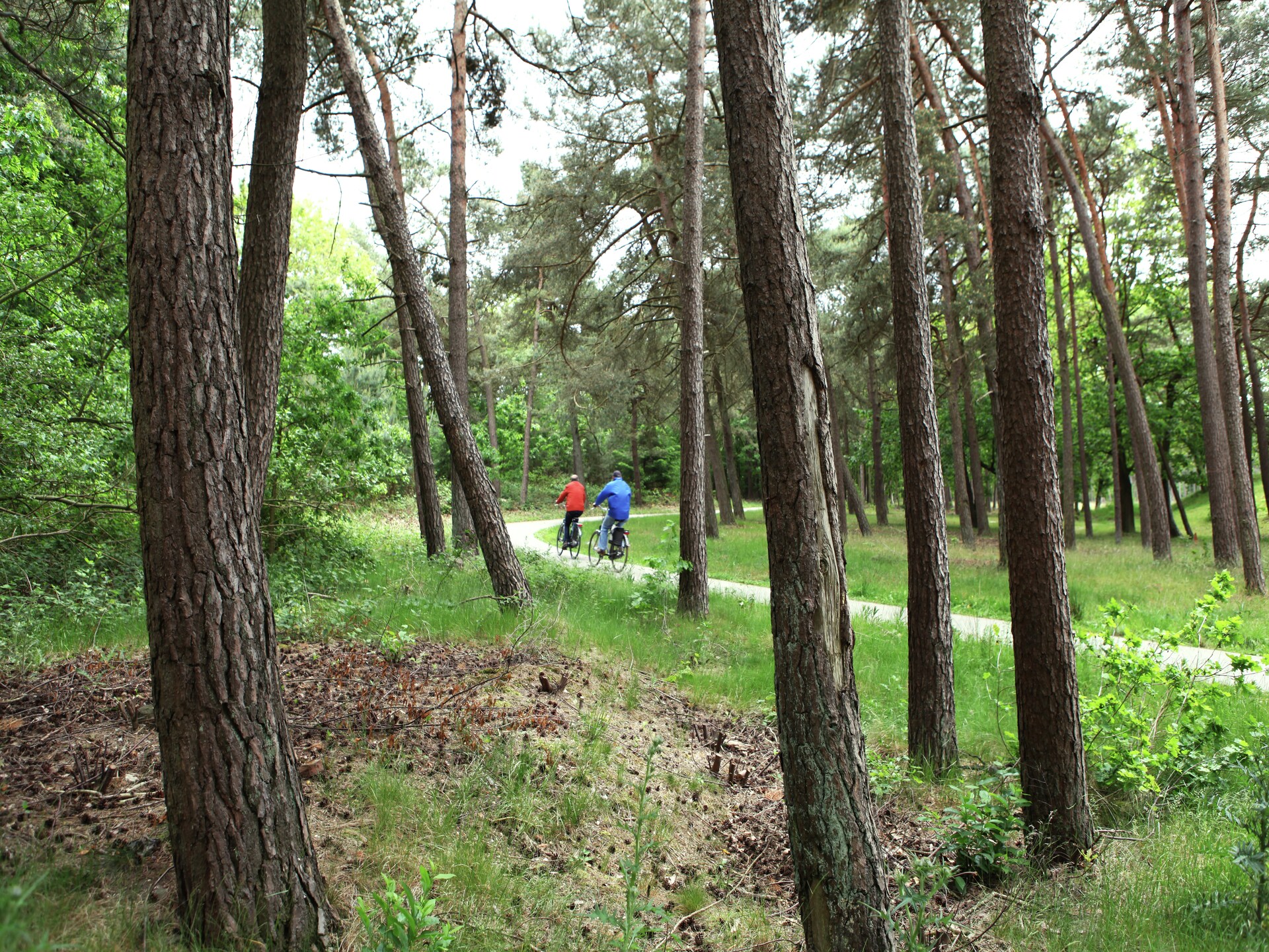 De Grove Den: Ruime groepsvilla aan bosrand met Veluwe op loopafstand - foto 26
