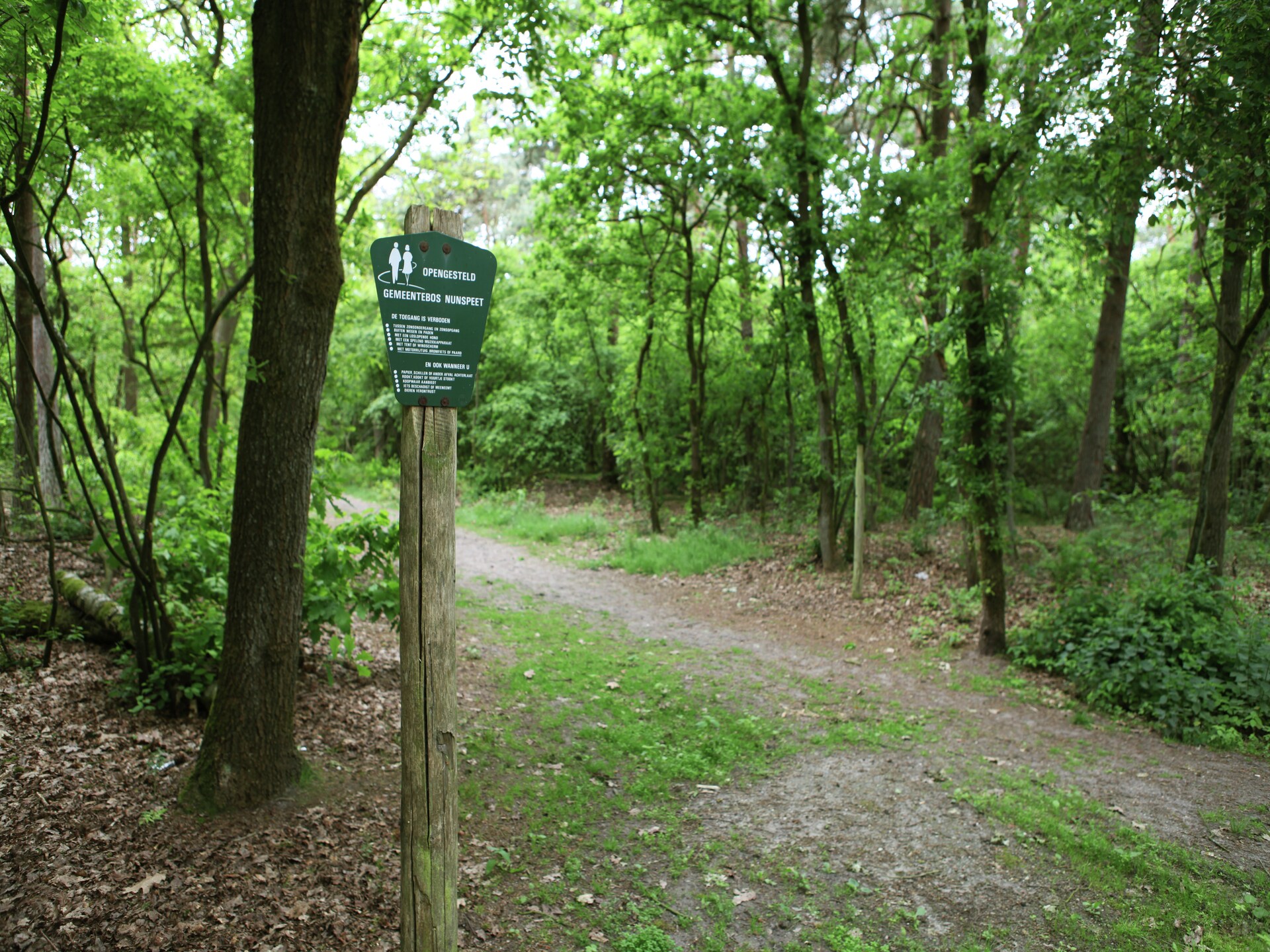 De Grove Den: Ruime groepsvilla aan bosrand met Veluwe op loopafstand - foto 12