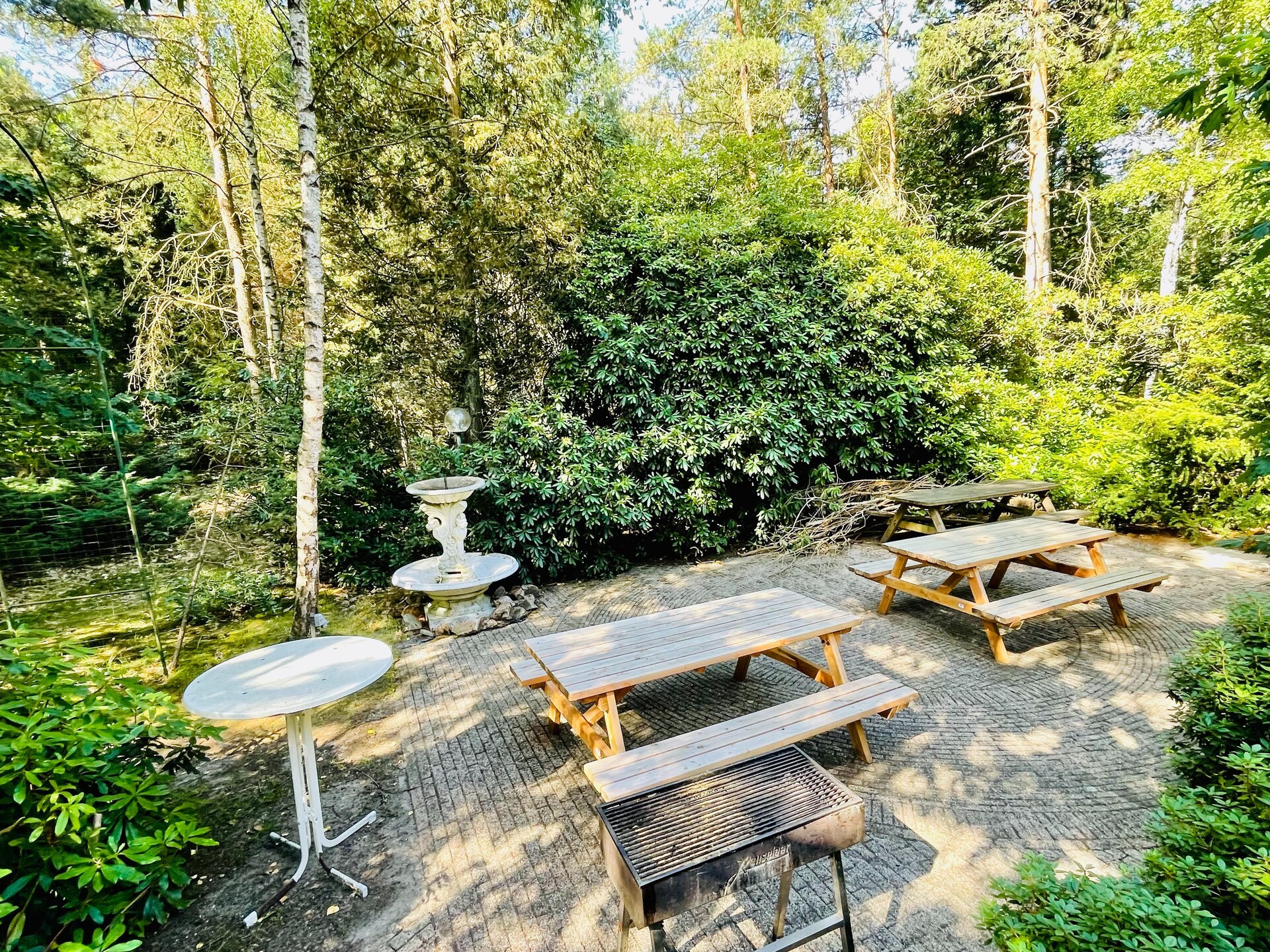 De Grove Den: Ruime groepsvilla aan bosrand met Veluwe op loopafstand - foto 6