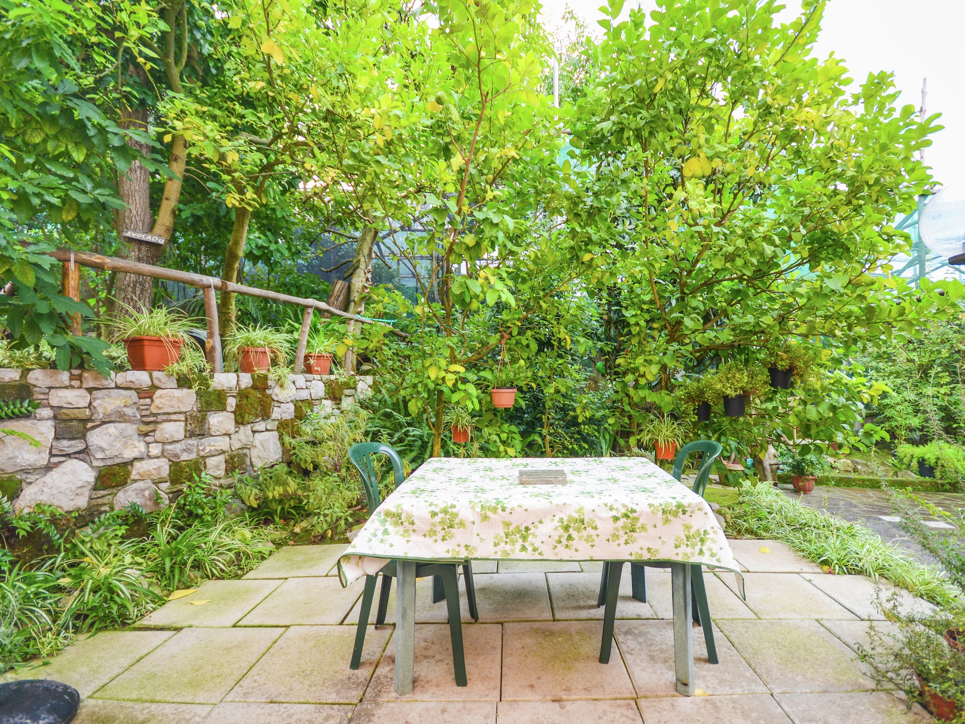 Op 1,5 km van zee: Rustiek landhuis Nunziatina in Sorrento - foto 2