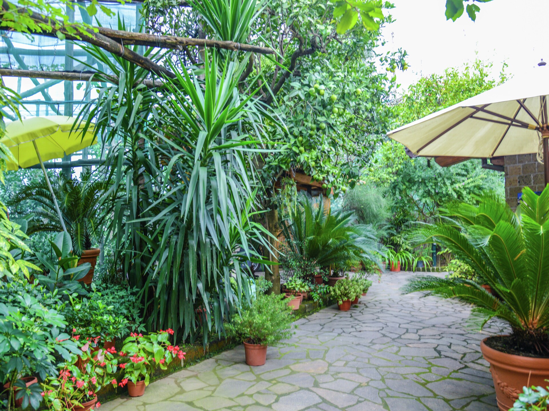 Landhuis Rosa in Sorrento: op 700 m van het centrum - foto 27