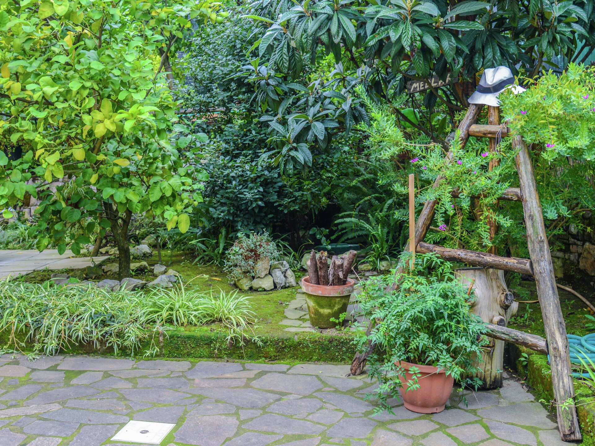 Landhuis Rosa in Sorrento: op 700 m van het centrum - foto 28