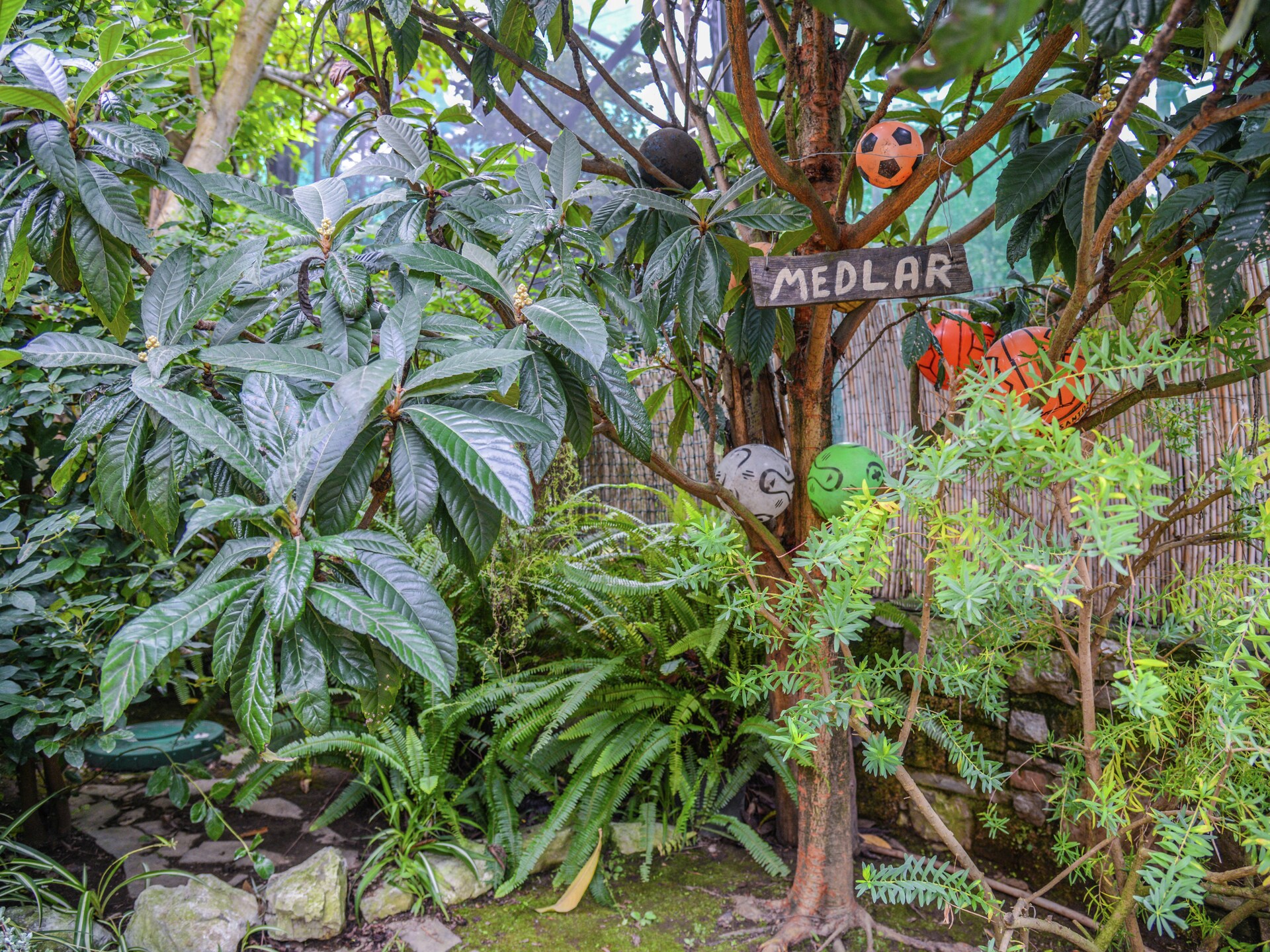 Landhuis Rosa in Sorrento: op 700 m van het centrum - foto 37